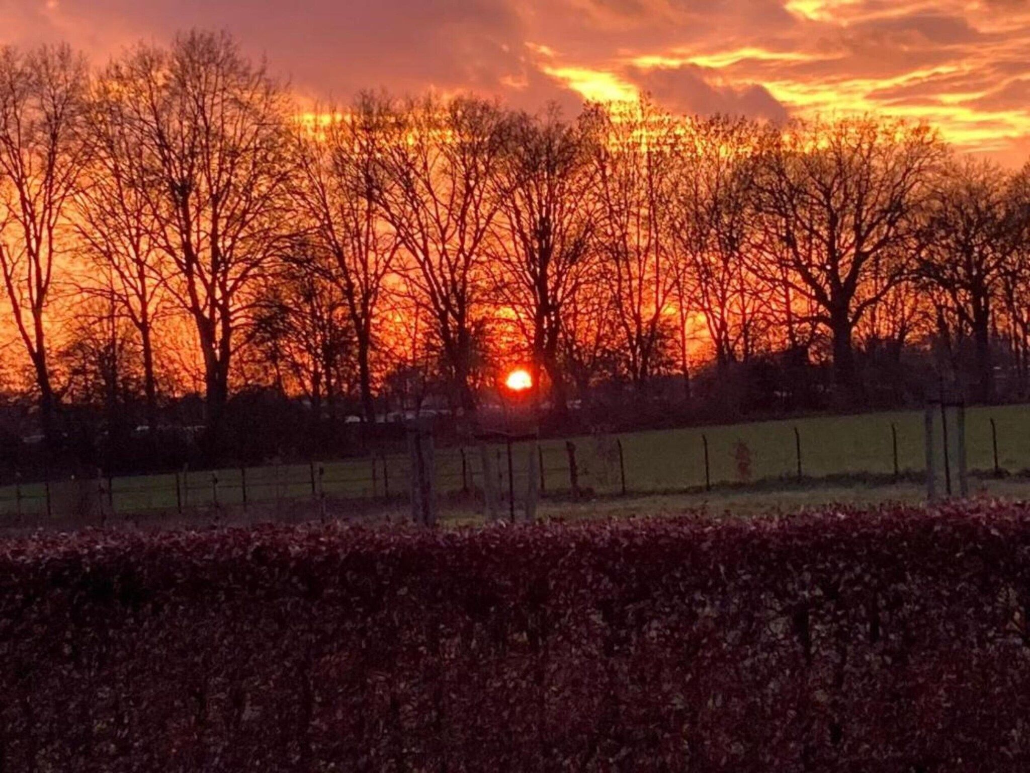 De Riethorst 1 in Plasmolen - Foto 31 van 40