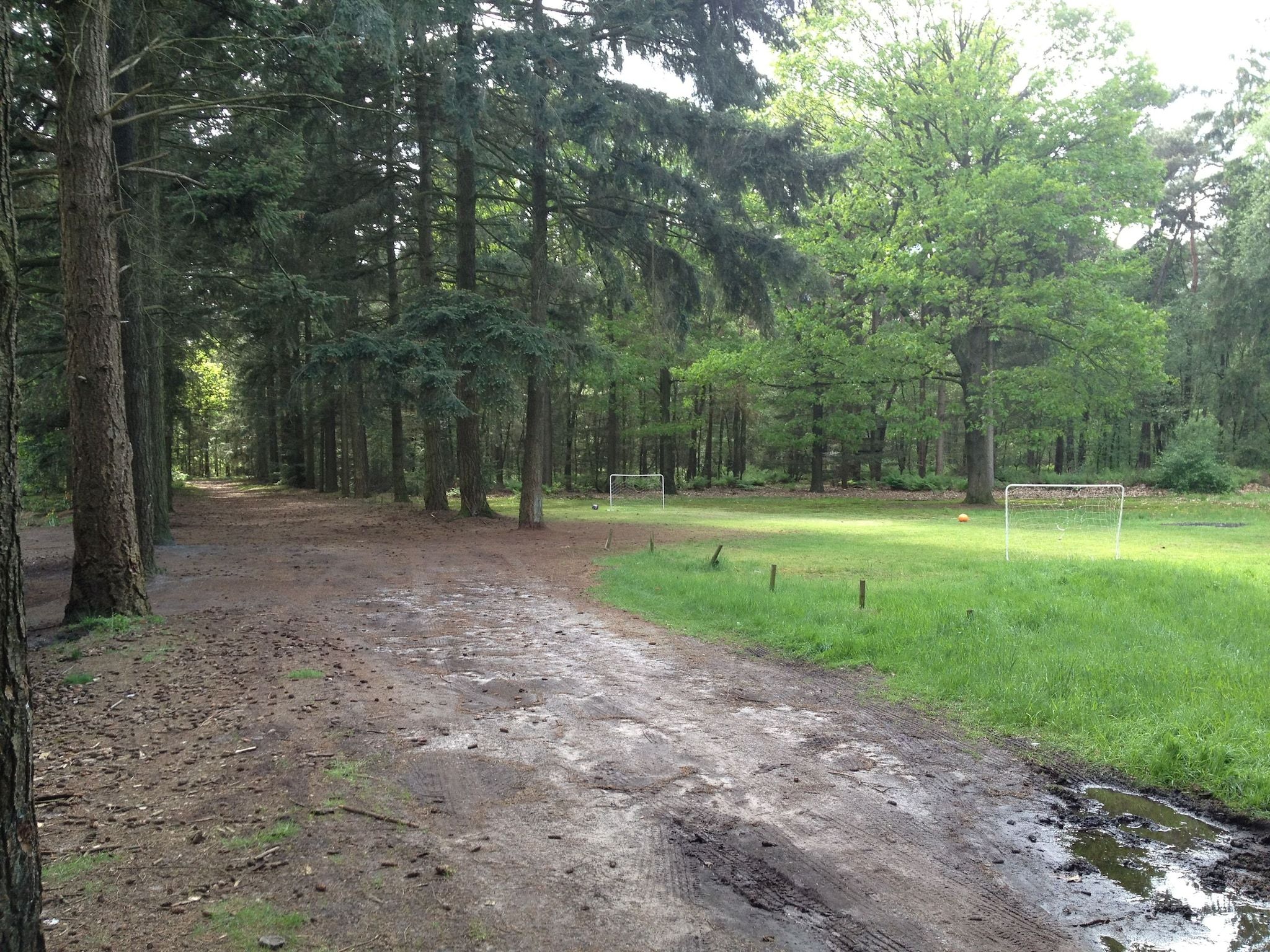 De omgeving van Huis in het bos in Oploo
