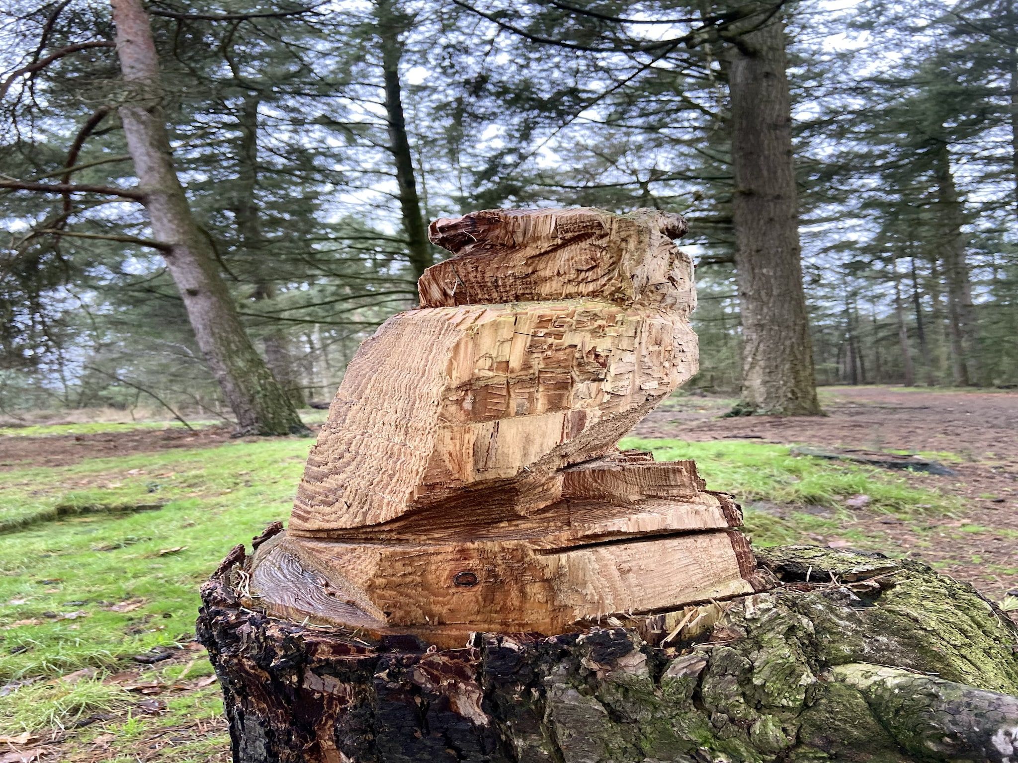 Huis in het bos in Oploo - Foto 35 van 41