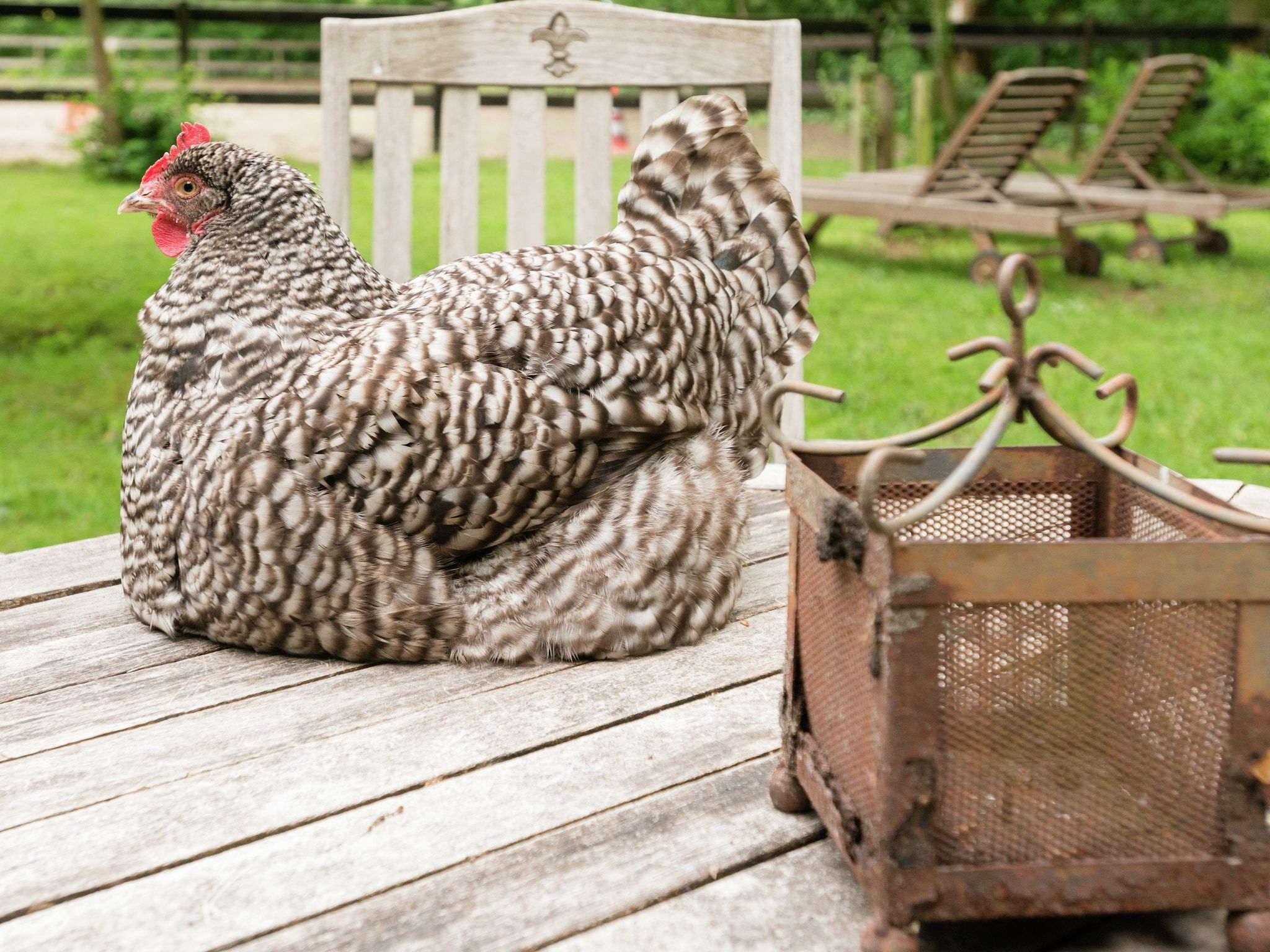 Sfeerbeeld van De Eekhorst in Balkbrug