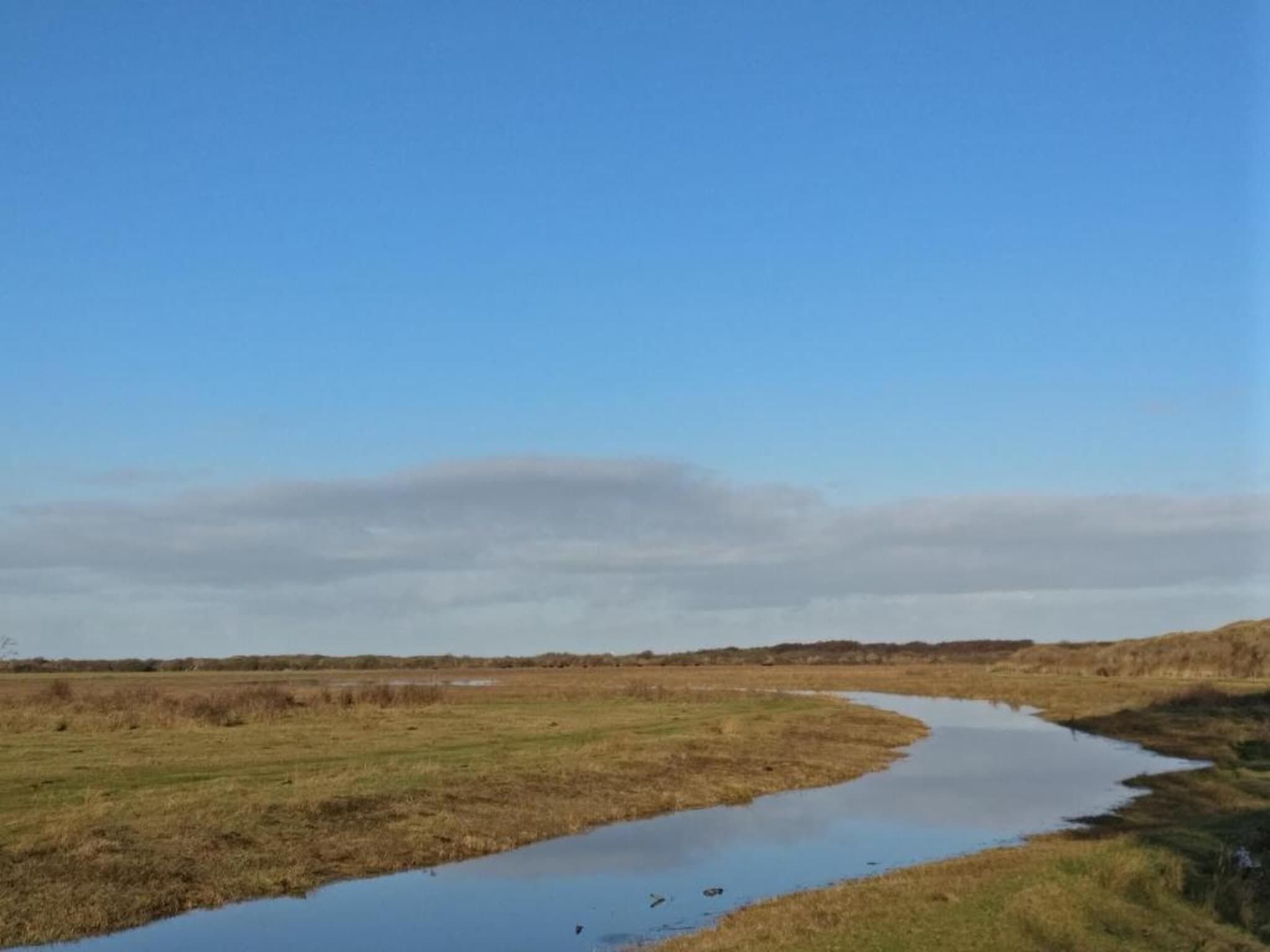 Kustpark Texel 3 in De Koog - Foto 30 van 40