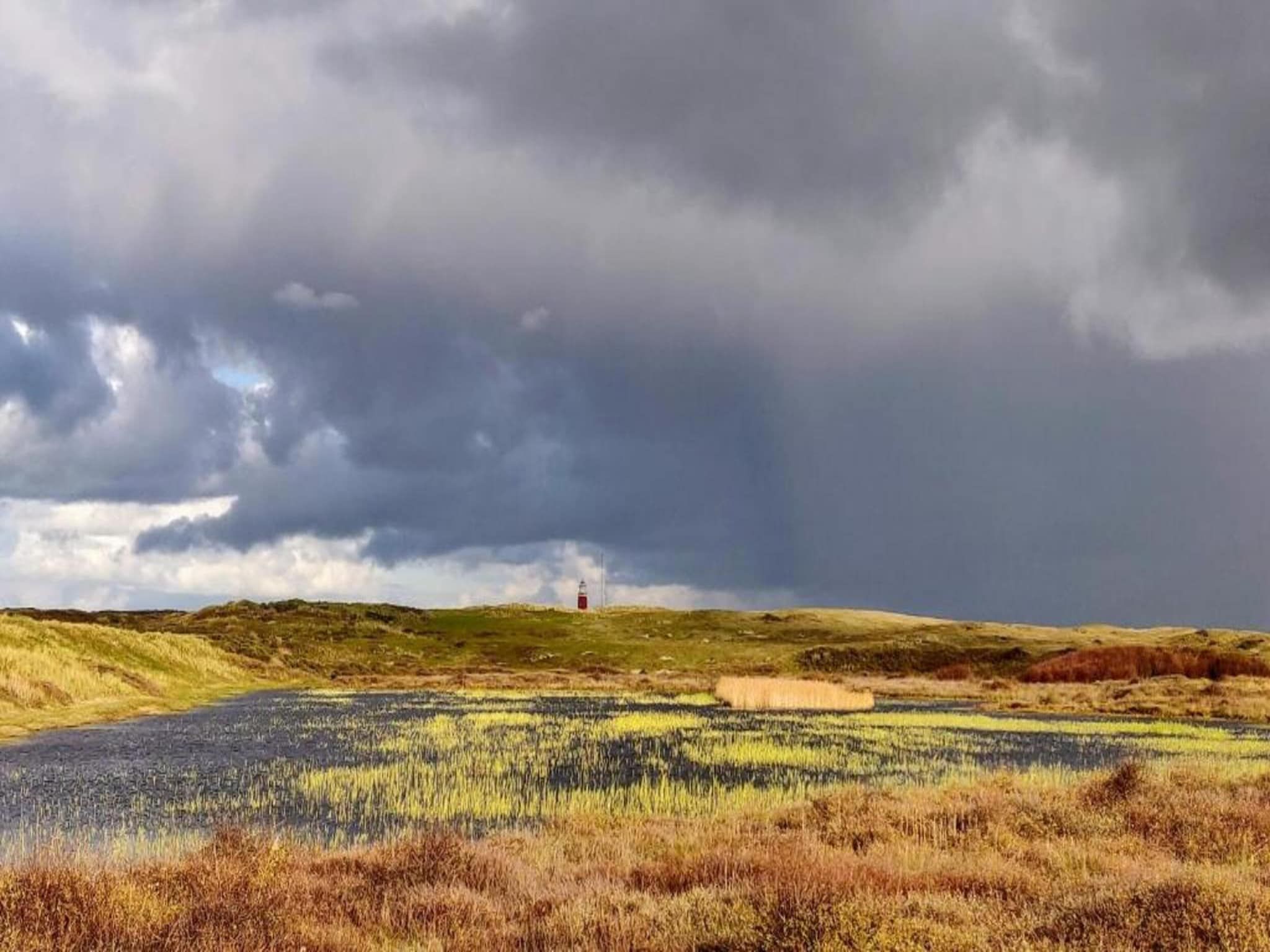 Kustpark Texel 3 in De Koog - Foto 24 van 40