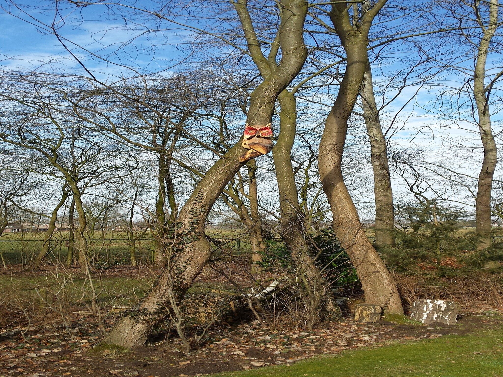 Het uitzicht vanaf Zonnenberg 34 in Heeten