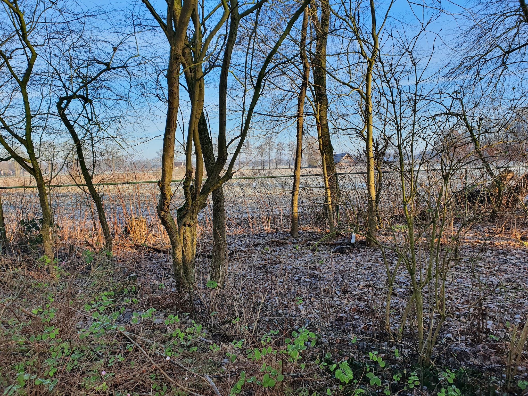 Zonnenberg 34 in Heeten - Foto 17 van 34