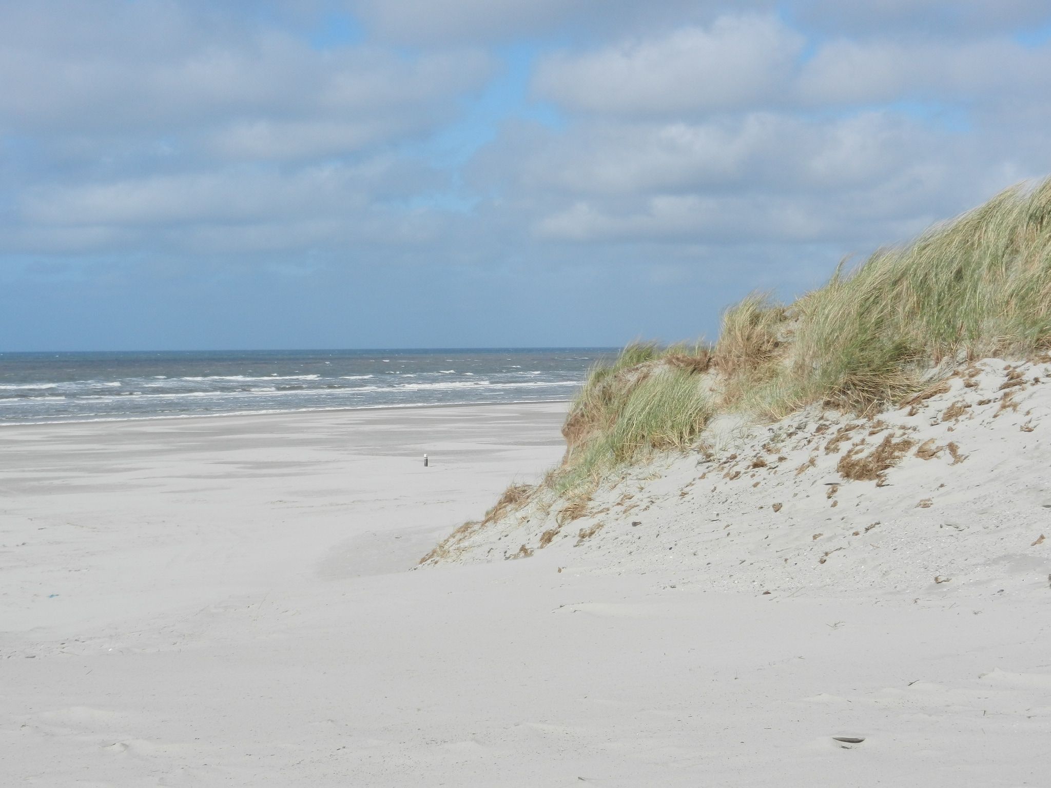 De omgeving van Skries in Nes Ameland