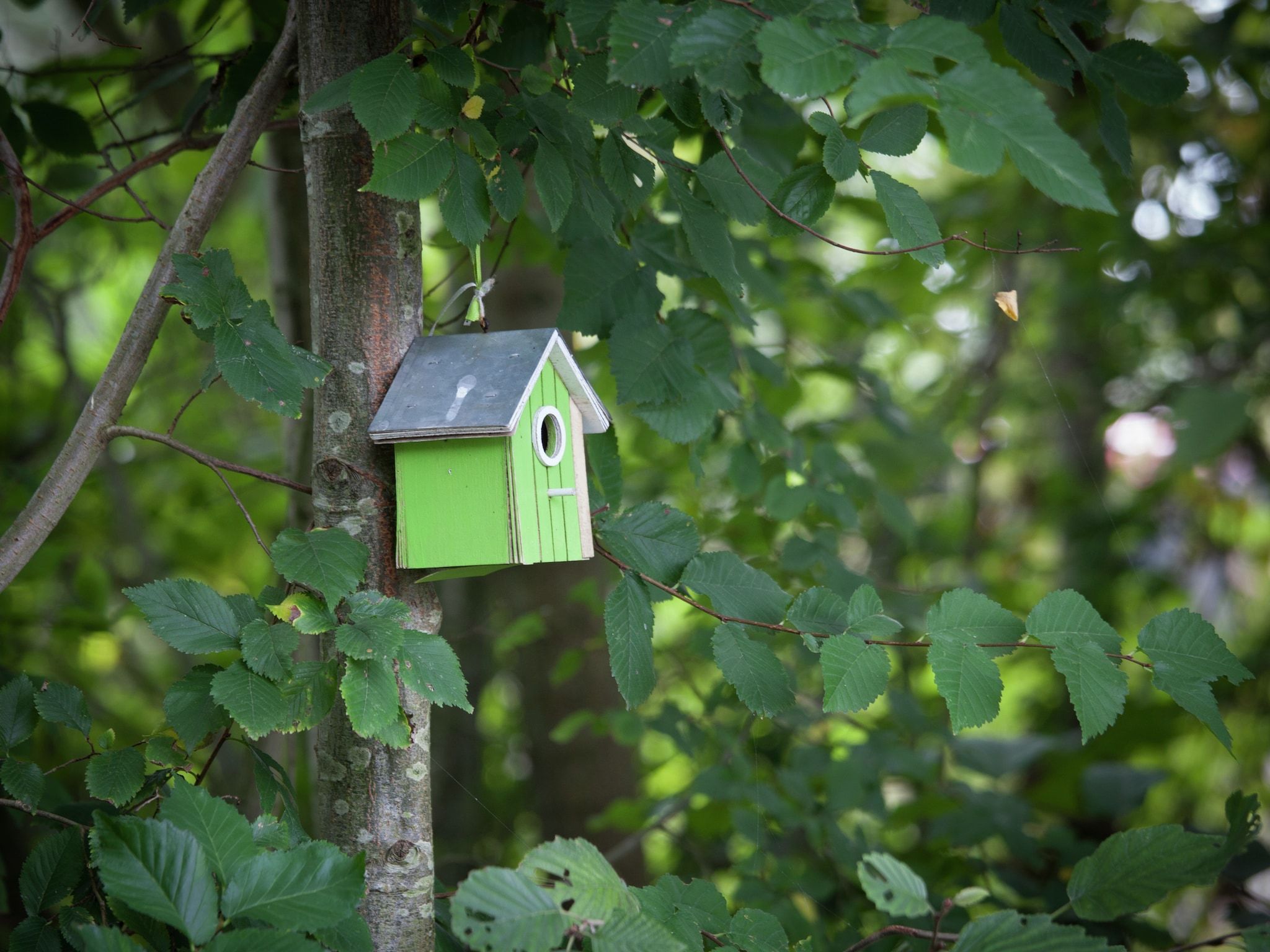 Sfeerbeeld van Skries in Nes Ameland