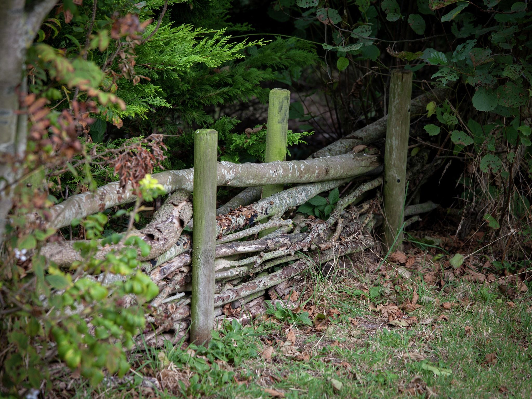 Sfeerbeeld van Skries in Nes Ameland