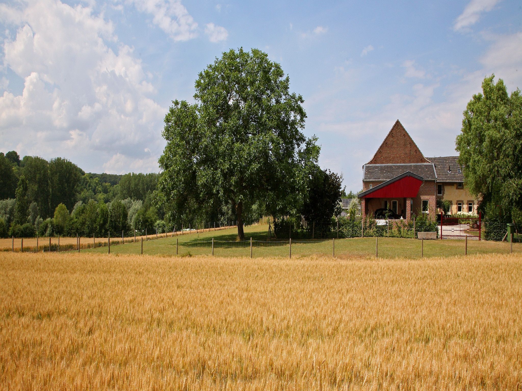 Hoeve in gunne winkel 1 en 2 in Wijlre - Foto 24 van 34