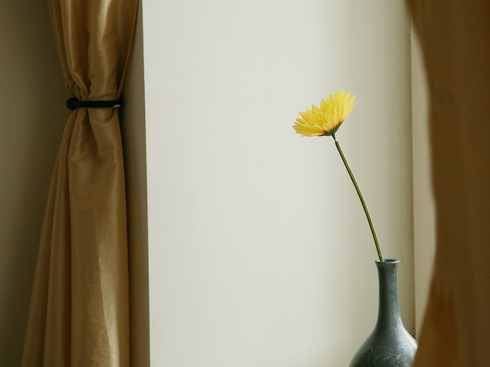 Sfeerbeeld van Hoeve in gunne winkel 2 in Wijlre