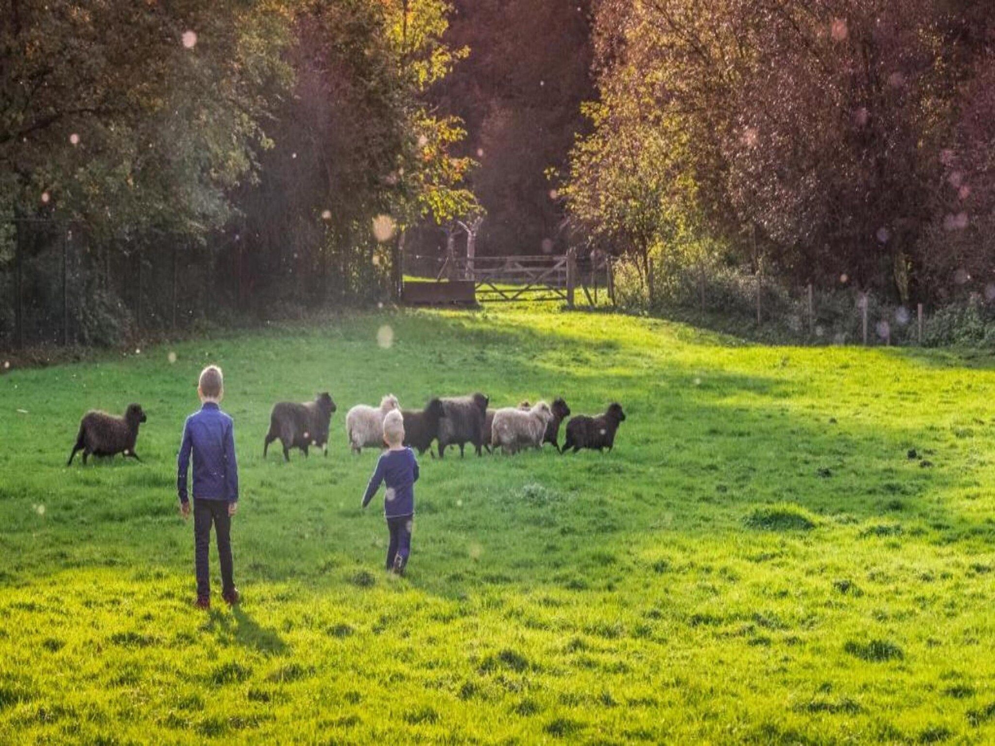 Hoeve in gunne winkel 2 in Wijlre - Foto 29 van 34
