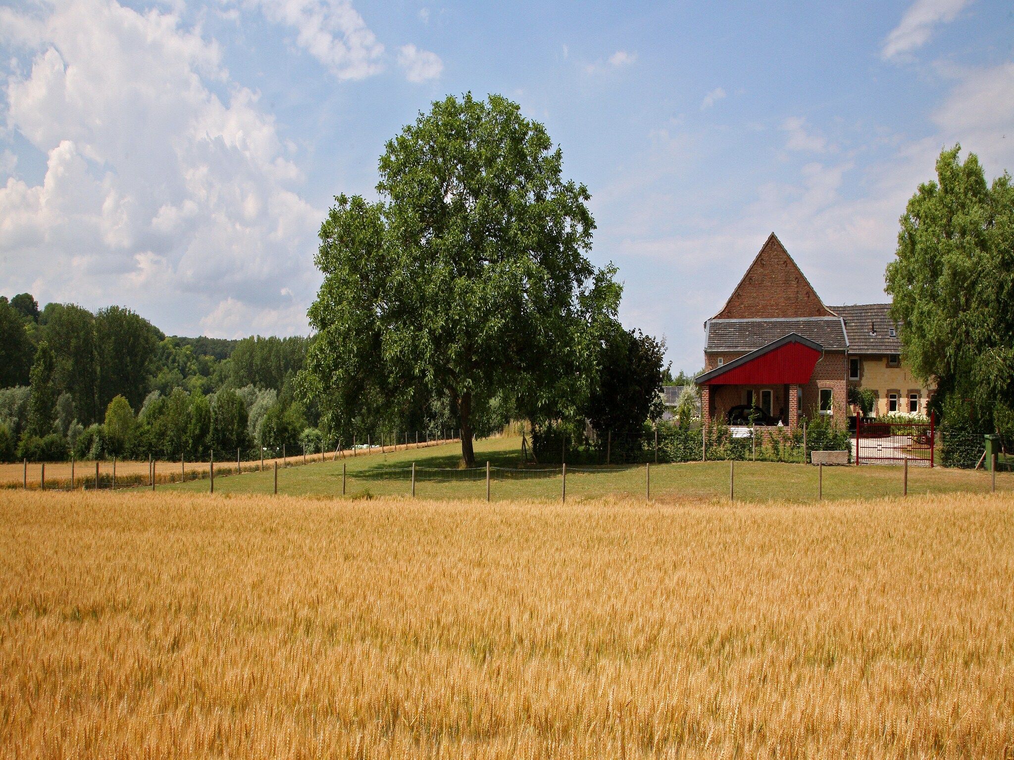 Hoeve in gunne winkel 1 in Wijlre - Foto 17 van 30