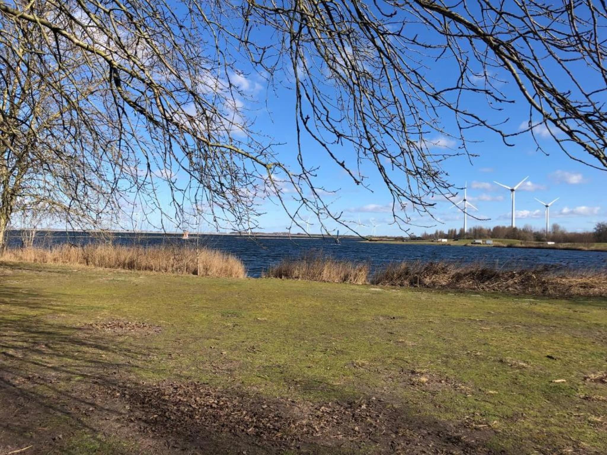 Aquadelta 18 in Bruinisse - Foto 17 van 40