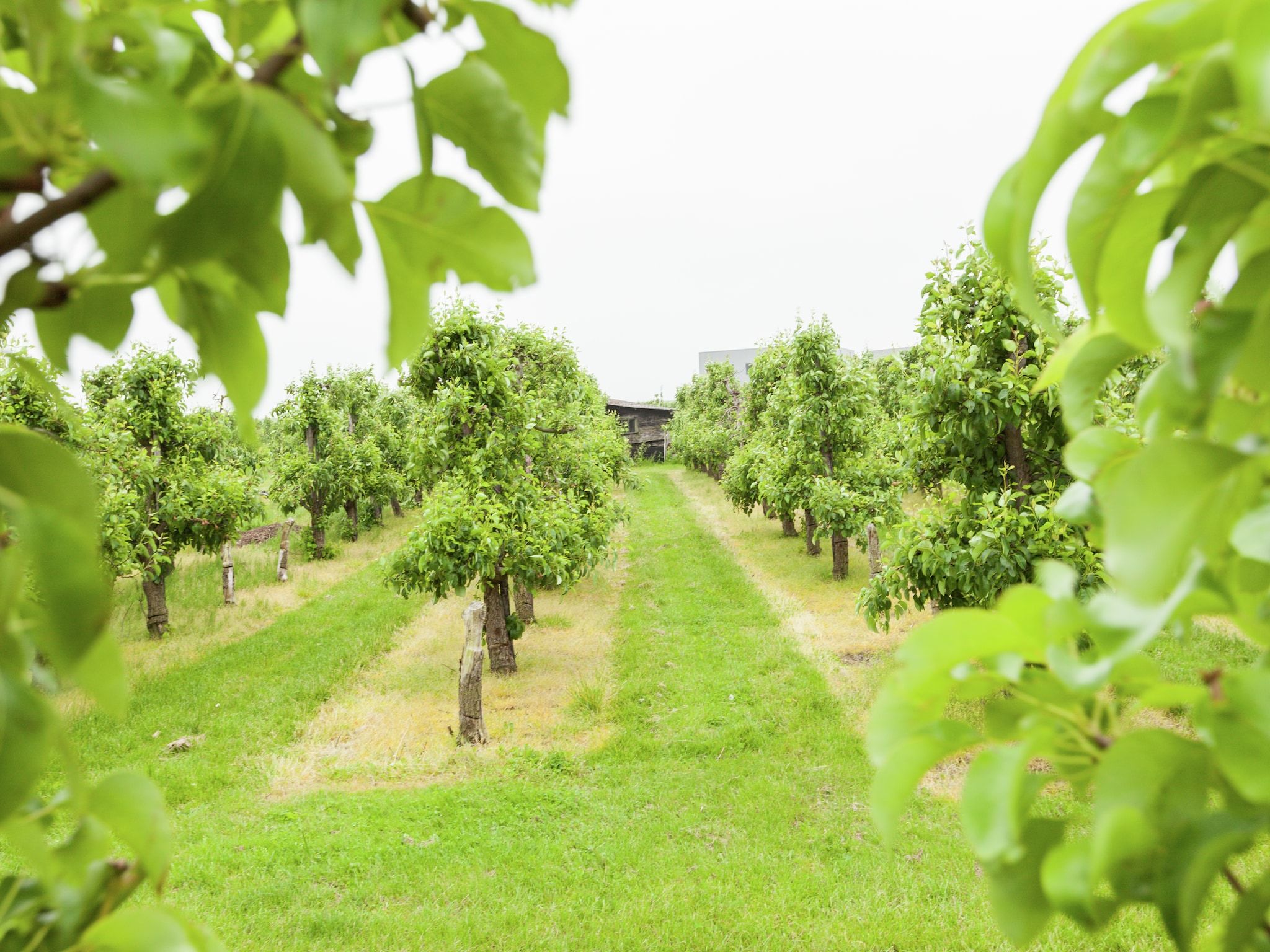 Het uitzicht vanaf Licykreken in Wemeldinge