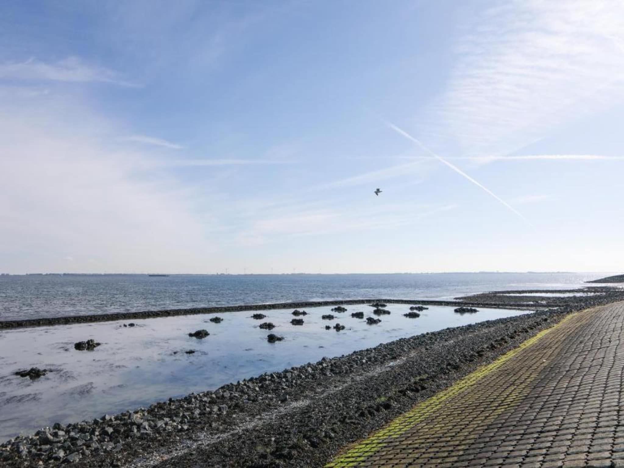 Licykreken in Wemeldinge - Foto 27 van 40