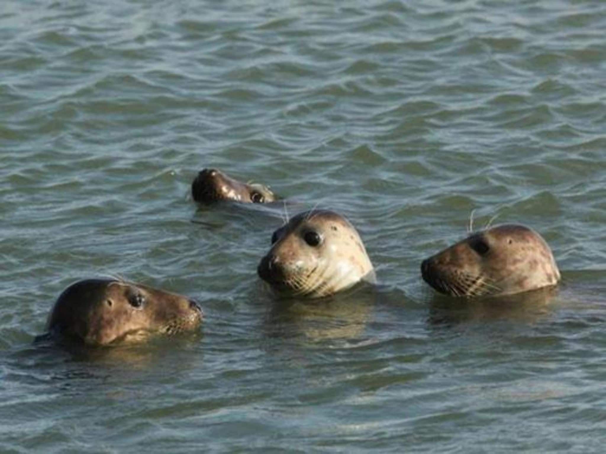 Licykreken in Wemeldinge - Foto 33 van 40