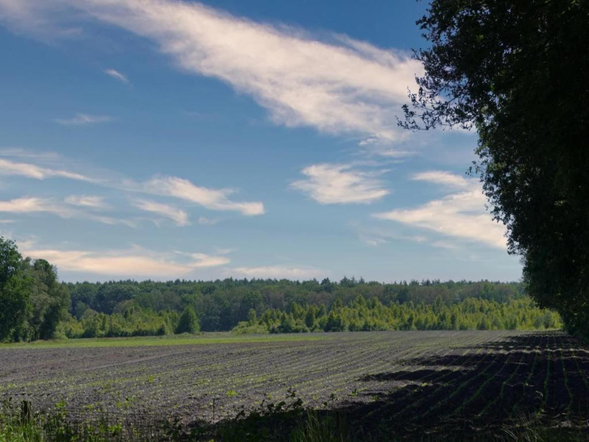 Bospark Lunsbergen 5 in Borger - Foto 34 van 40