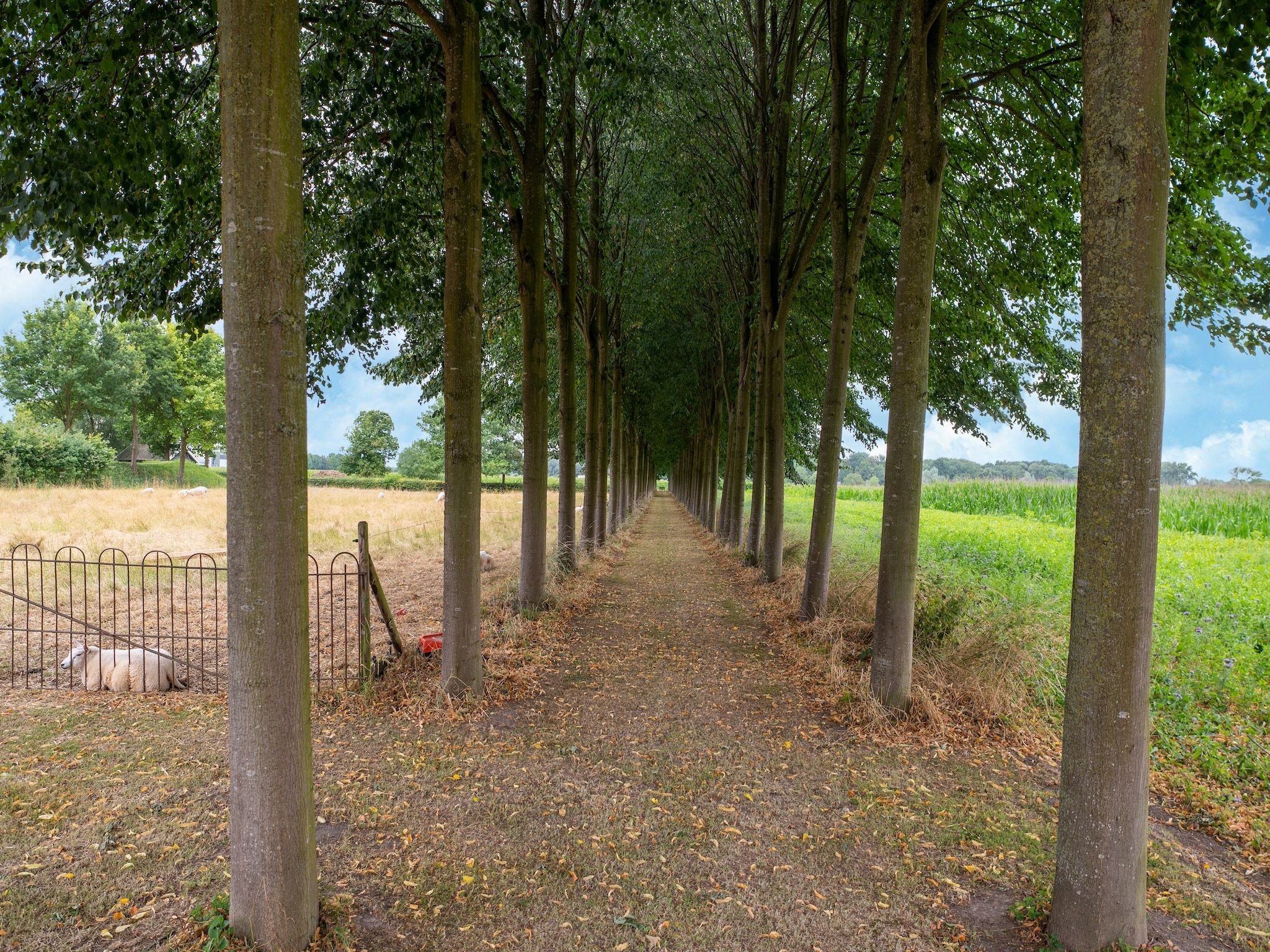 Koetshuis 't Geyn-Landgoed Noordenhoek in Deil - Foto 34 van 40