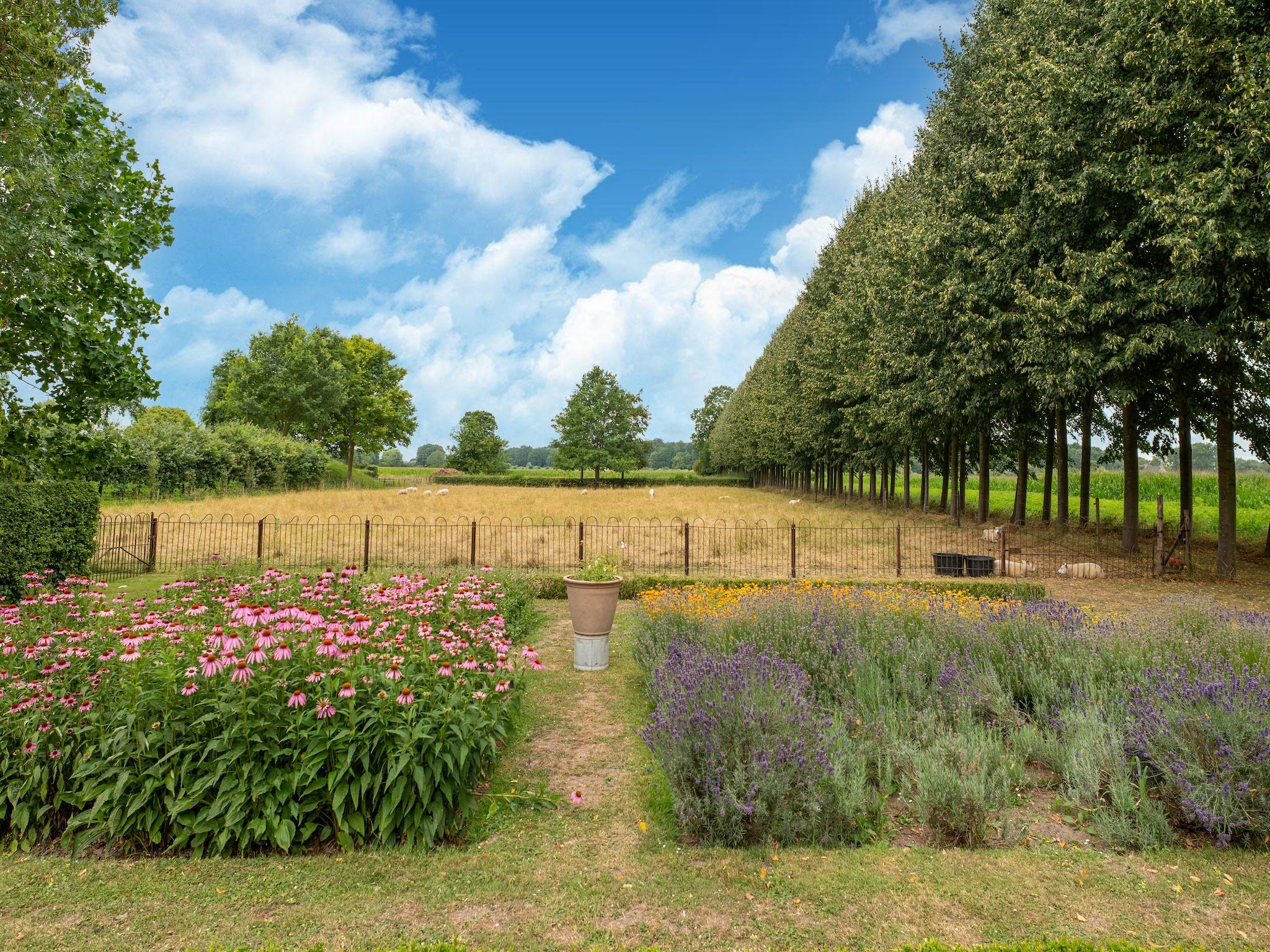Het uitzicht vanaf Koetshuis 't Geyn-Landgoed Noordenhoek in Deil