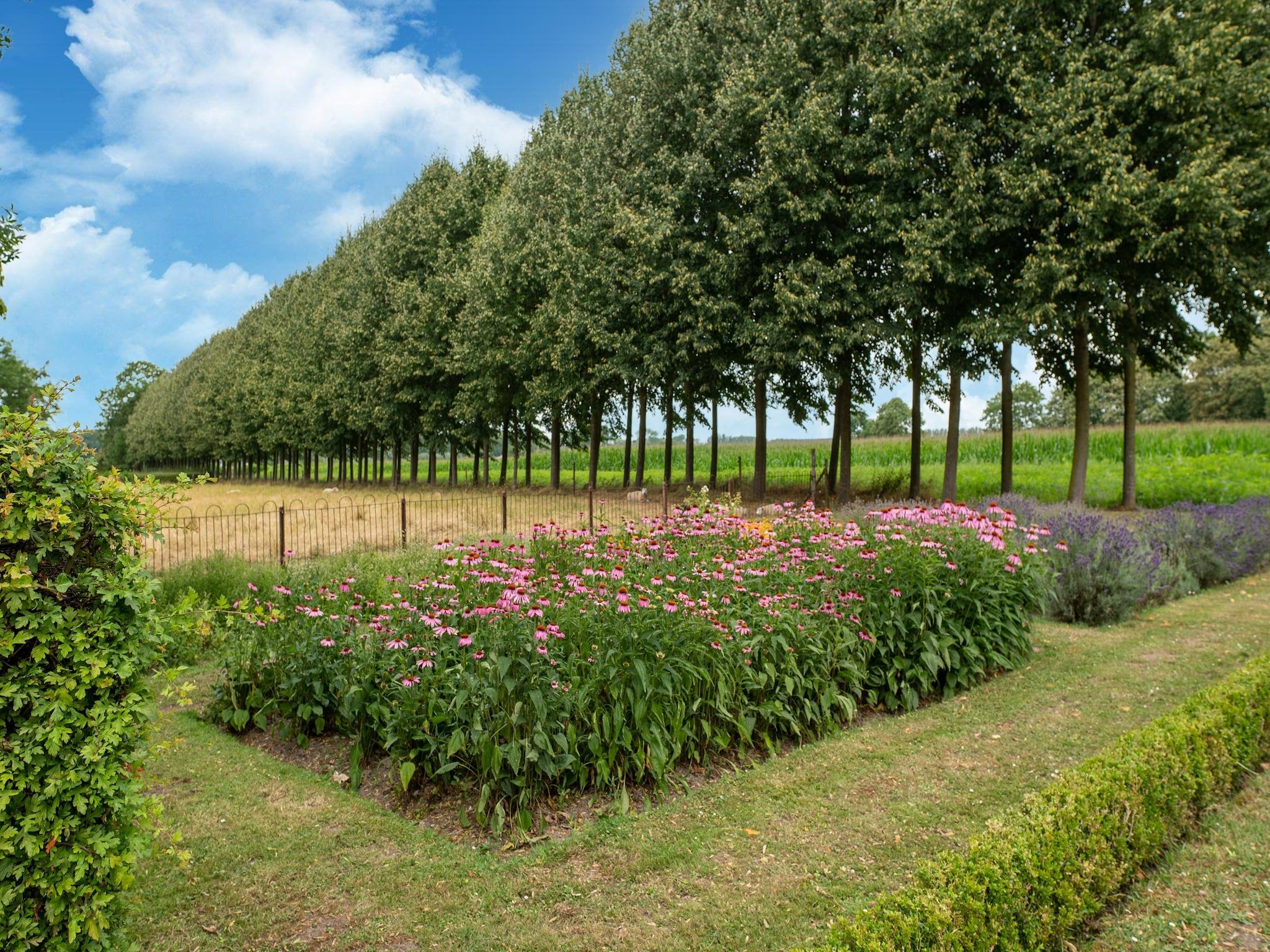 Koetshuis 't Geyn-Landgoed Noordenhoek in Deil - Foto 33 van 40