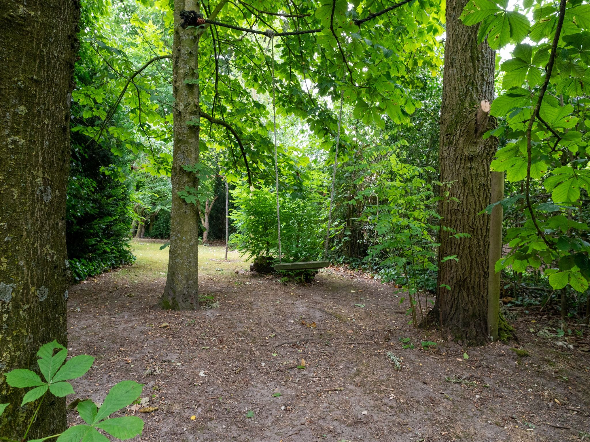 De omgeving van Koetshuis 't Geyn-Landgoed Noordenhoek in Deil