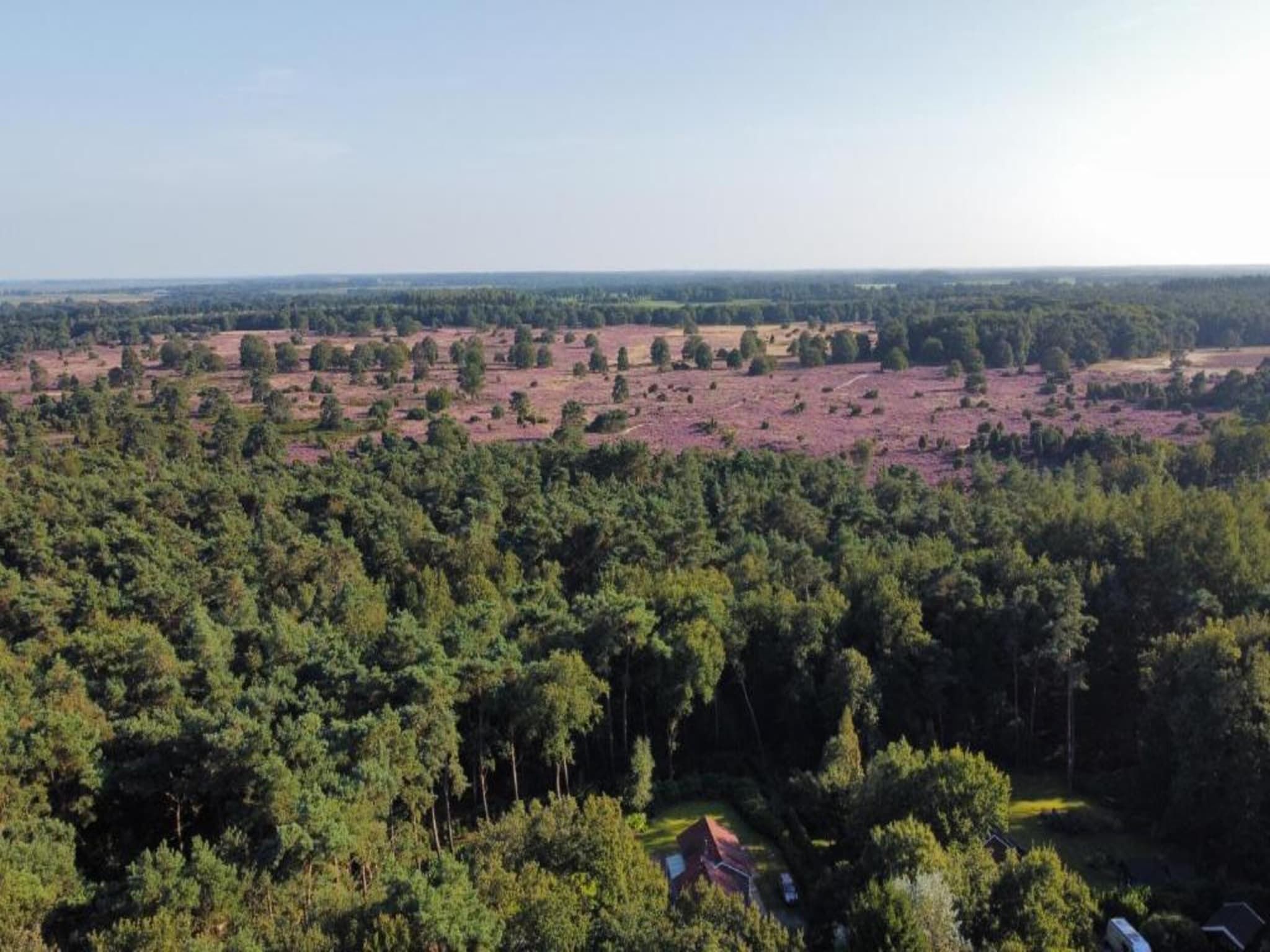 Bospark Lunsbergen 6 in Borger - Foto 29 van 40