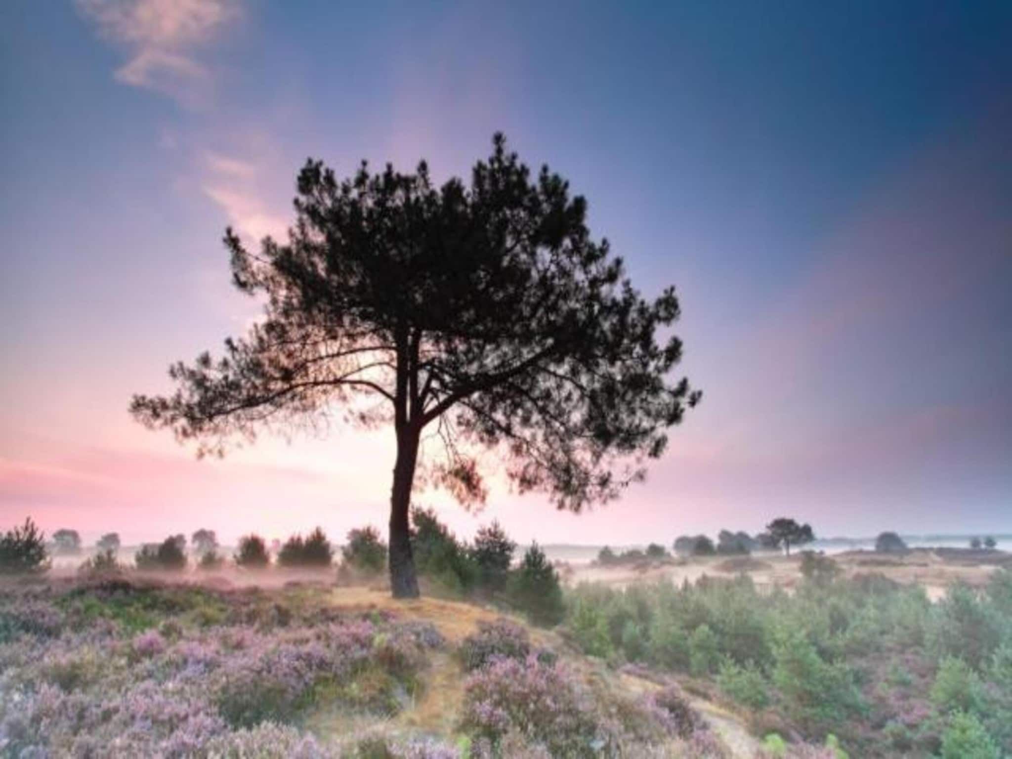 Bospark Lunsbergen 6 in Borger - Foto 24 van 40