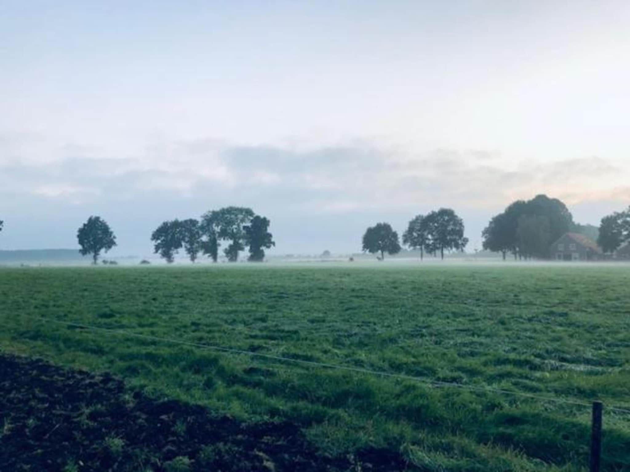 Bospark Lunsbergen 6 in Borger - Foto 40 van 40