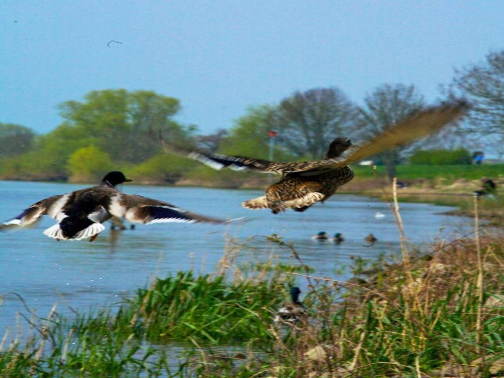 Vakantiepark Klein Vink 15 in Arcen - Foto 29 van 40