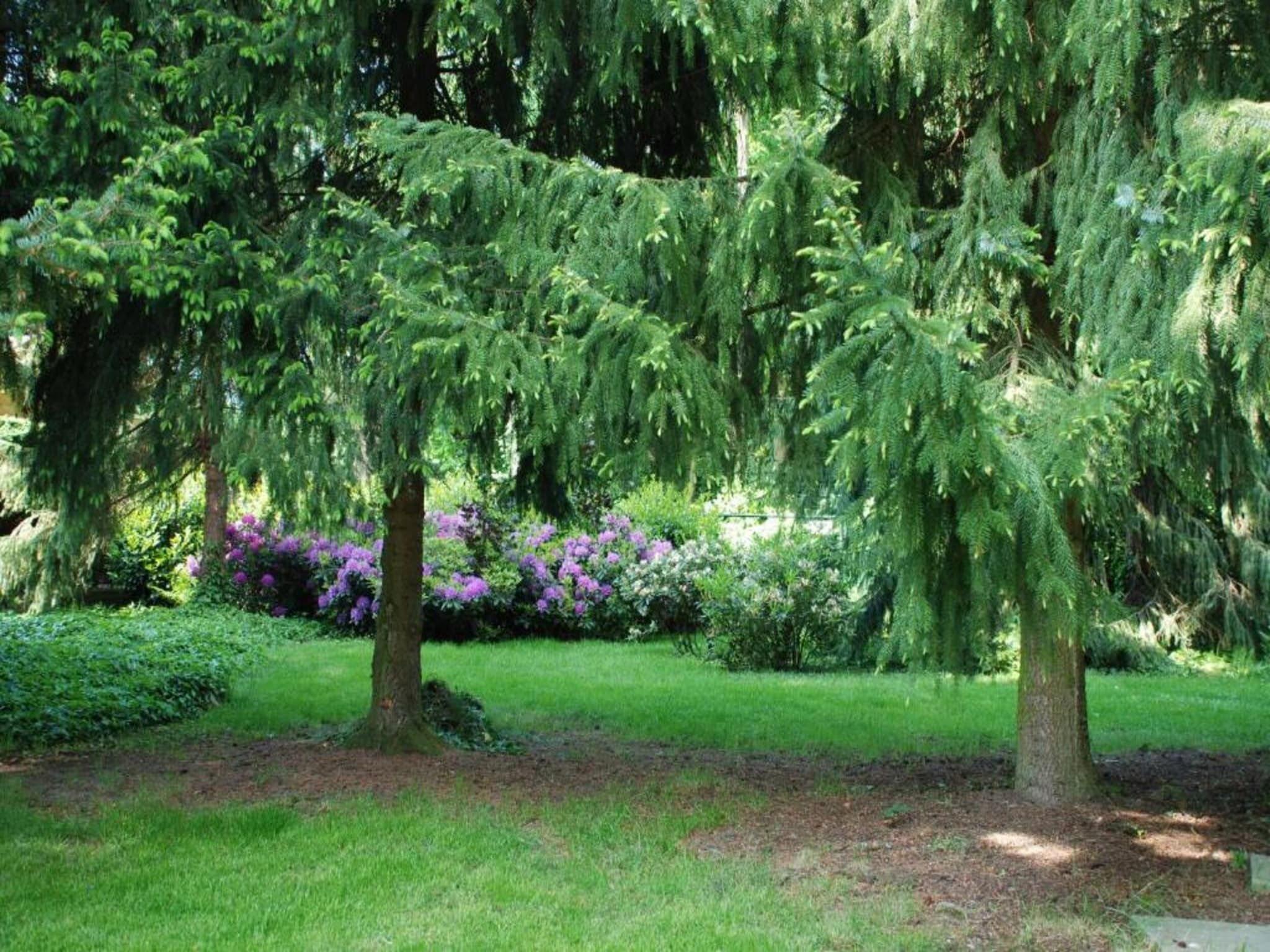 Vakantiepark Klein Vink 15 in Arcen - Foto 25 van 40