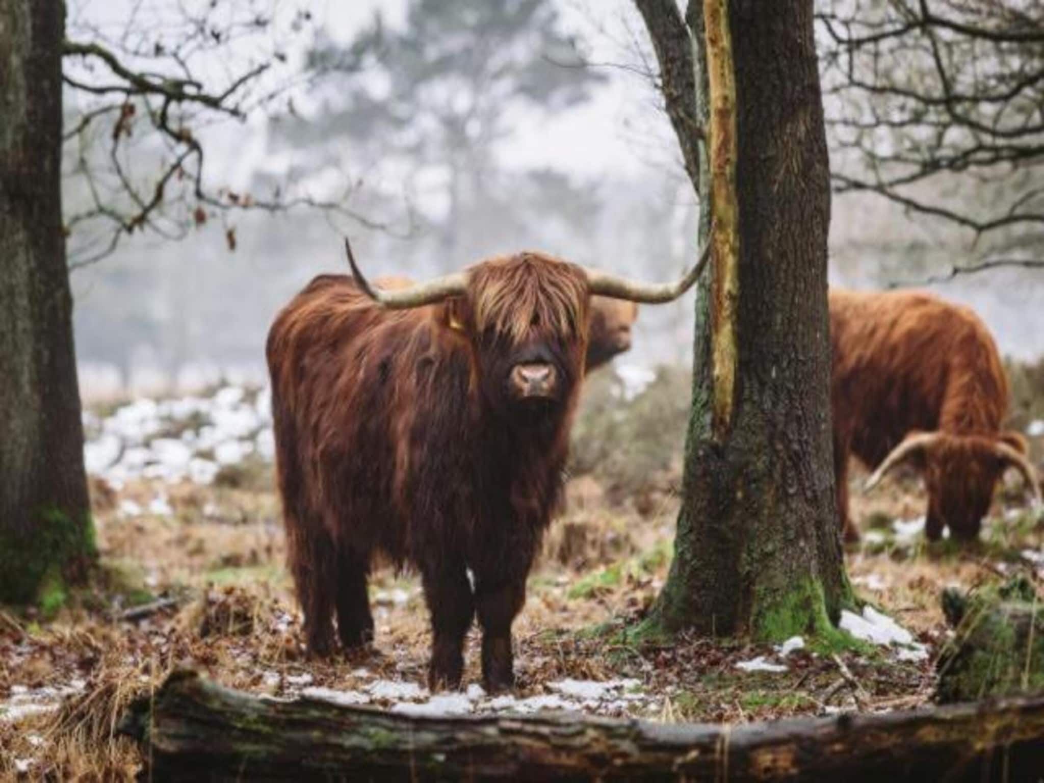 Bospark Lunsbergen 7 in Borger - Foto 26 van 36