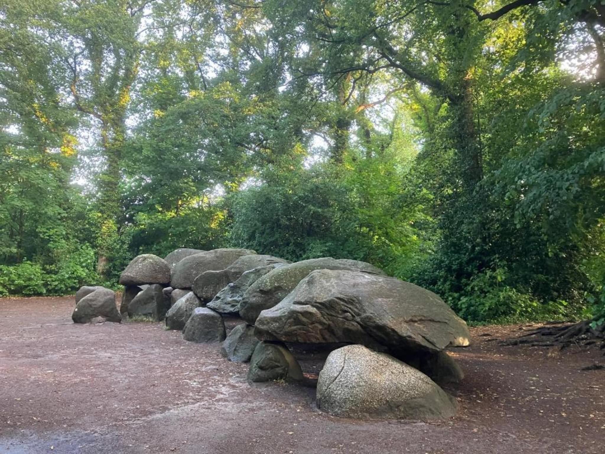 Bospark Lunsbergen 7 in Borger - Foto 28 van 36