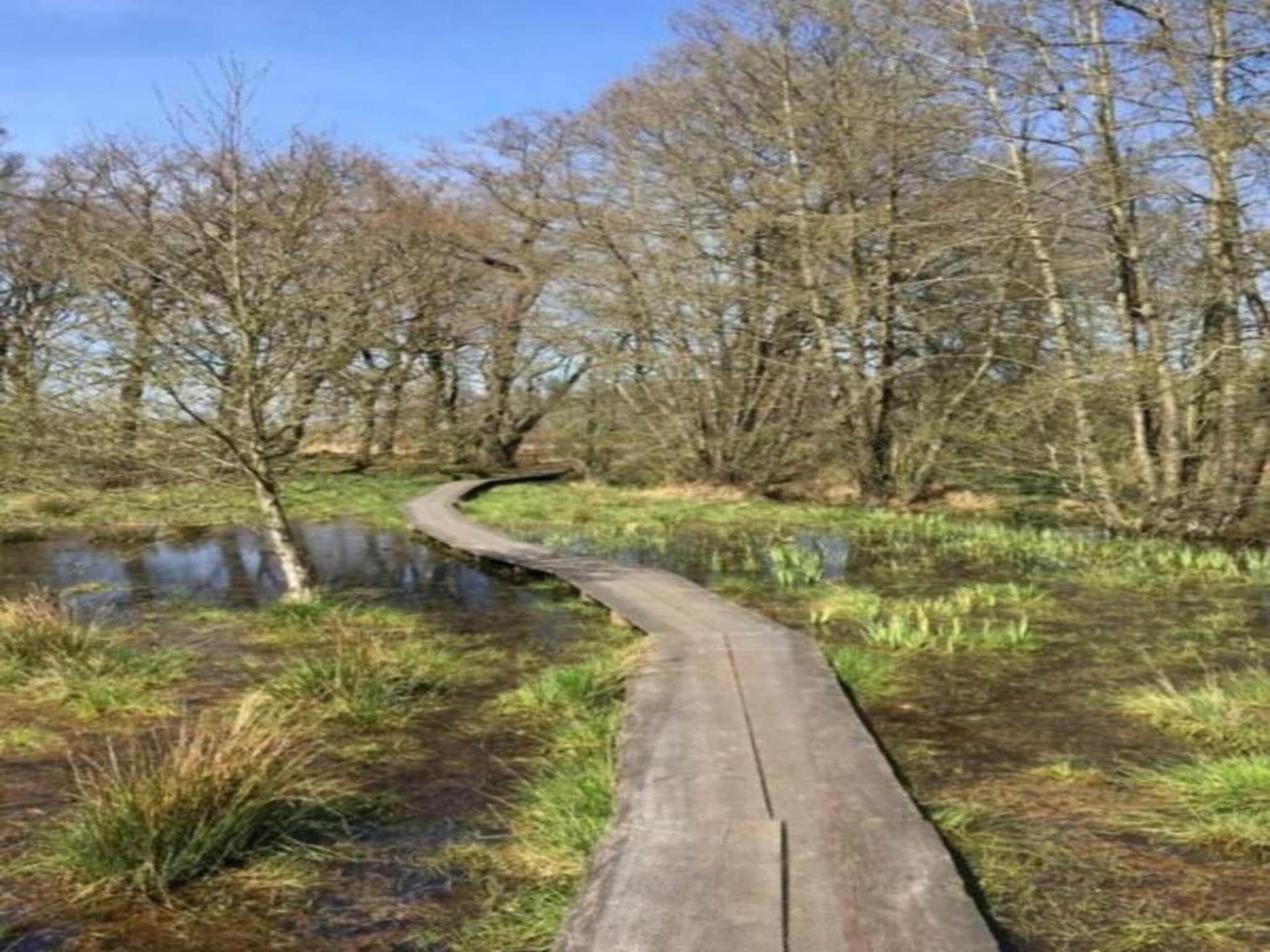 Bospark Lunsbergen 7 in Borger - Foto 32 van 36