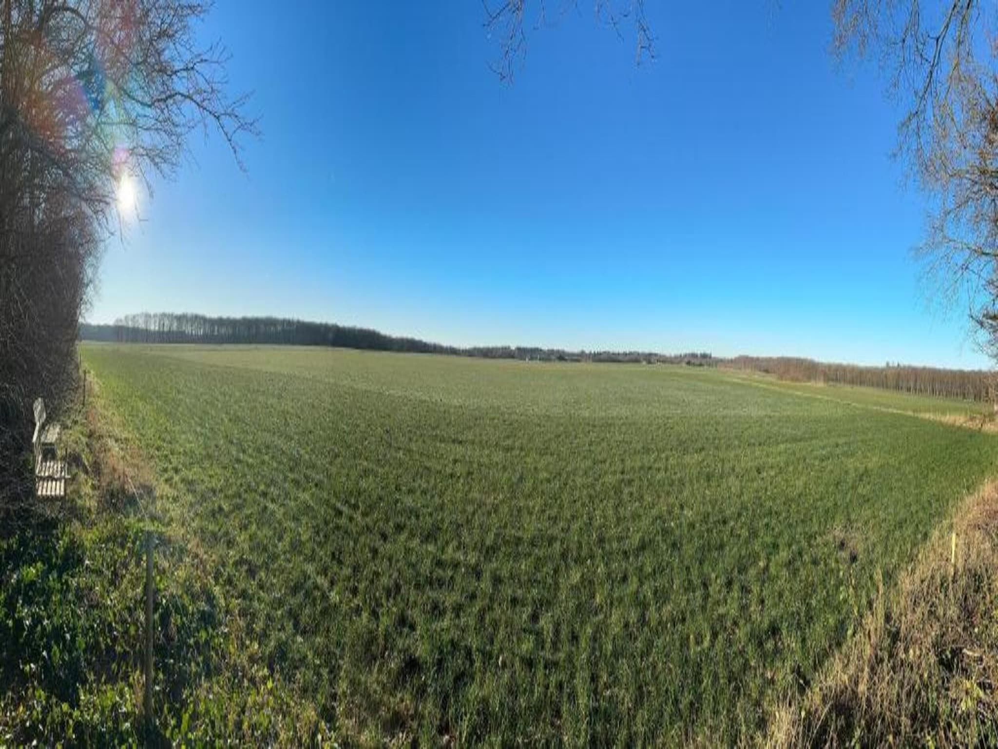 Bospark Lunsbergen 7 in Borger - Foto 35 van 36