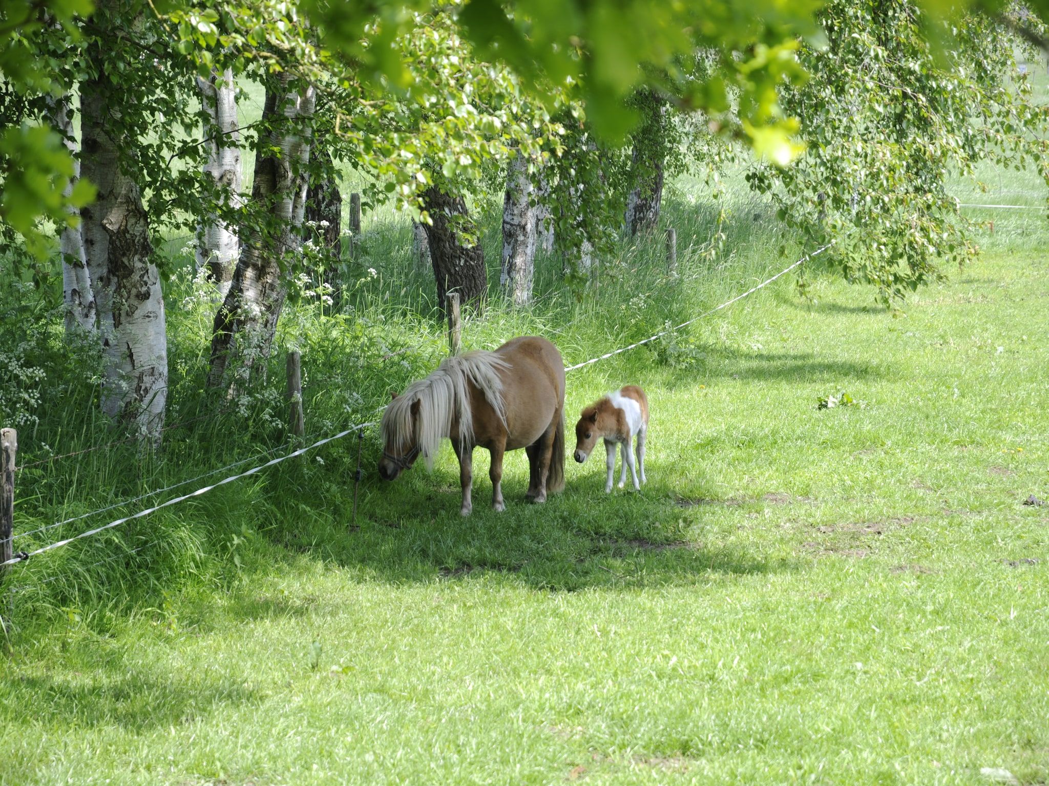 De omgeving van Wildeman in Heeten