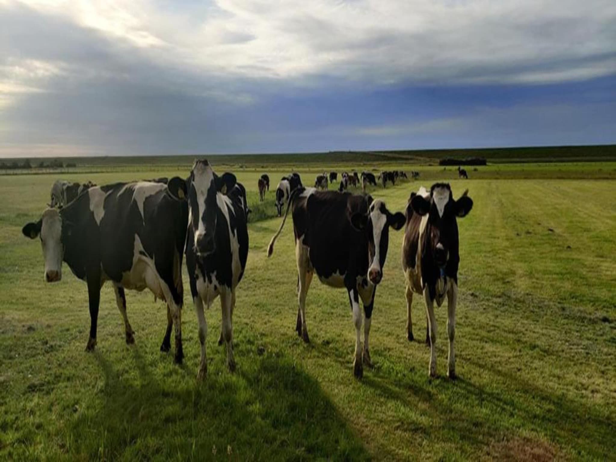 Recreatiepark Wiringherlant  - Villa 10 in Hippolytushoef - Foto 35 van 40