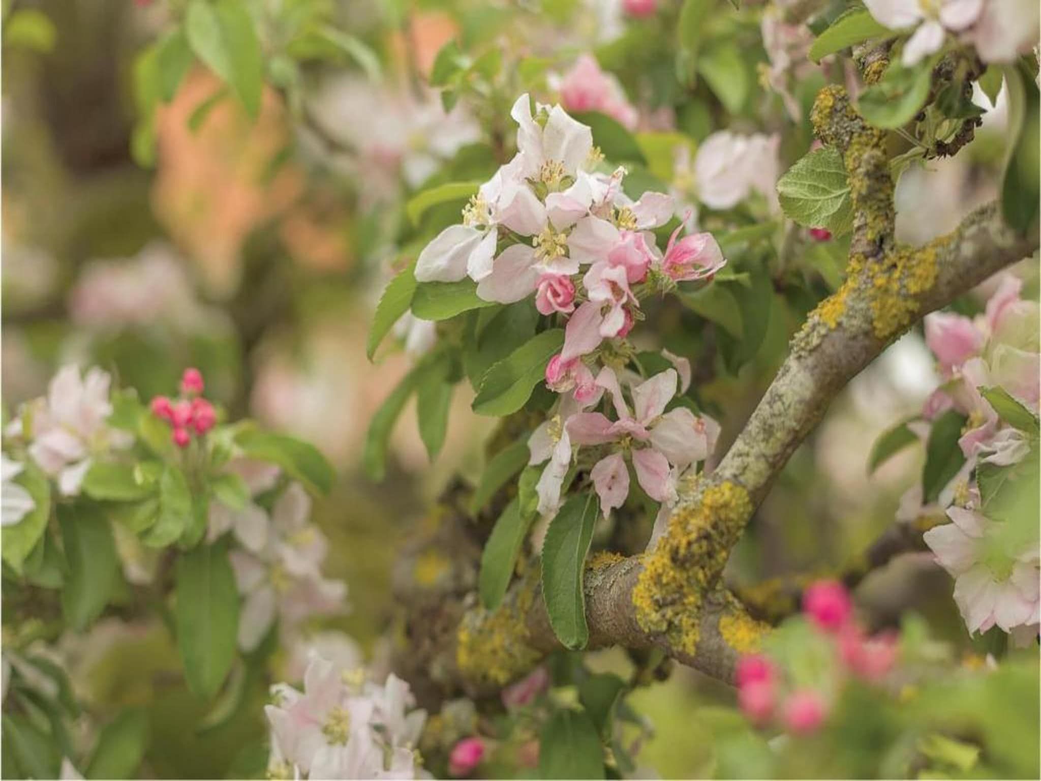 Recreatiepark Wiringherlant  - Villa 10 in Hippolytushoef - Foto 27 van 40