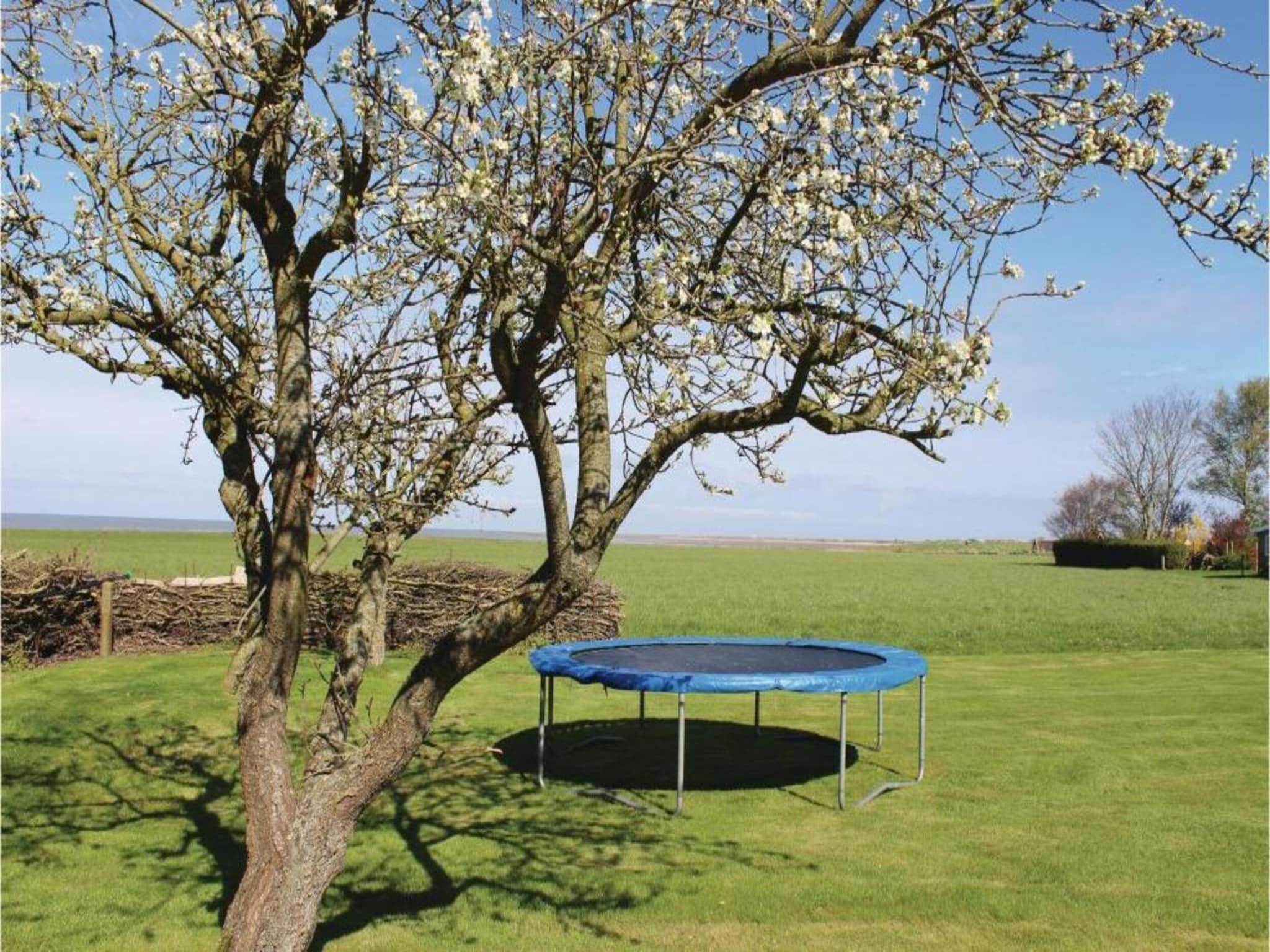 Recreatiepark Wiringherlant  - Villa 10 in Hippolytushoef - Foto 37 van 40