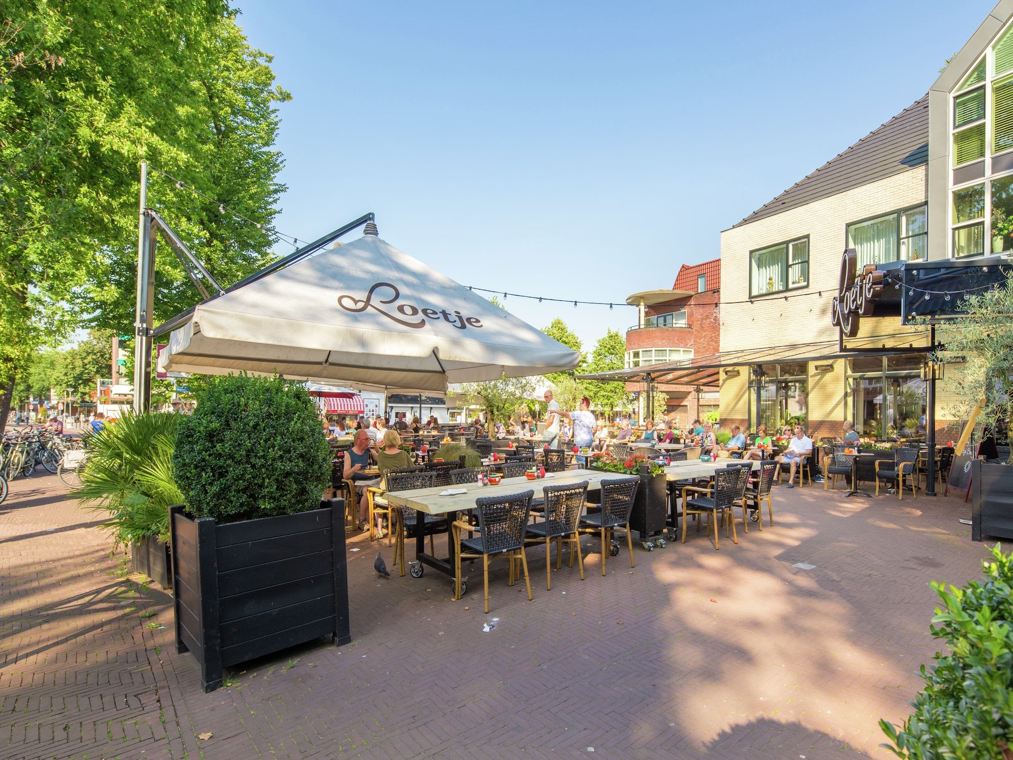 De omgeving van Kustpark Egmond aan Zee 1 in Egmond aan zee