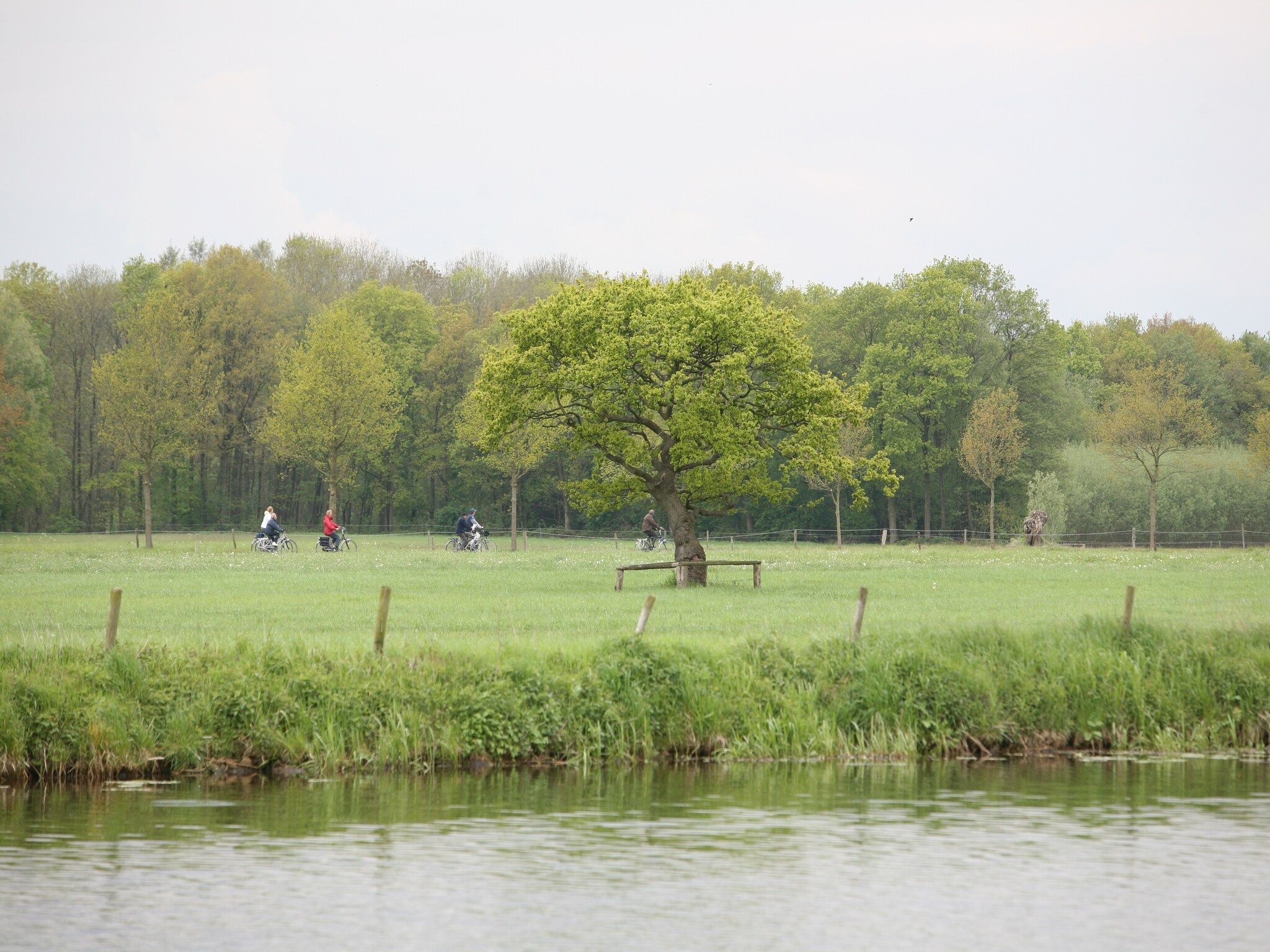 Boshuis in Dalfsen - Foto 35 van 36