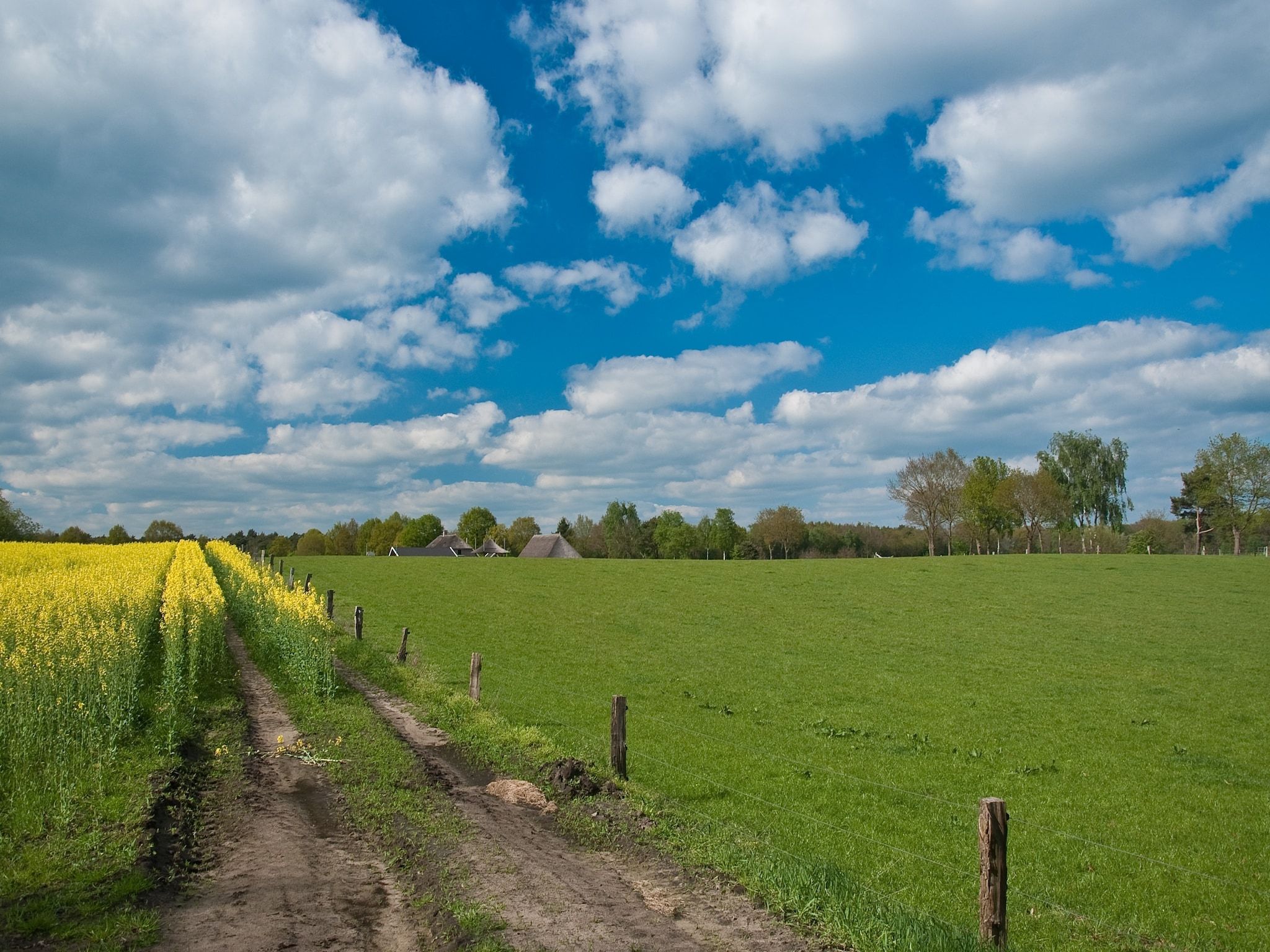 Boshuis in Dalfsen - Foto 34 van 36