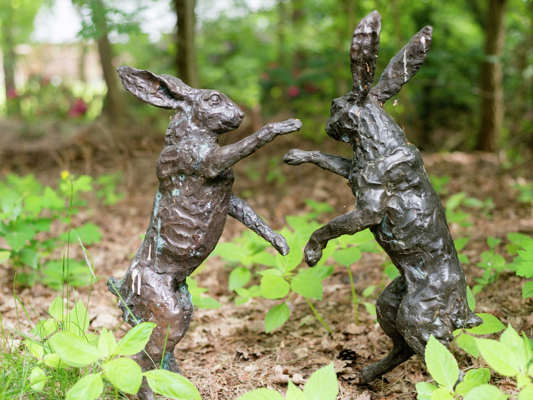 Sfeerbeeld van Boshuis in Dalfsen