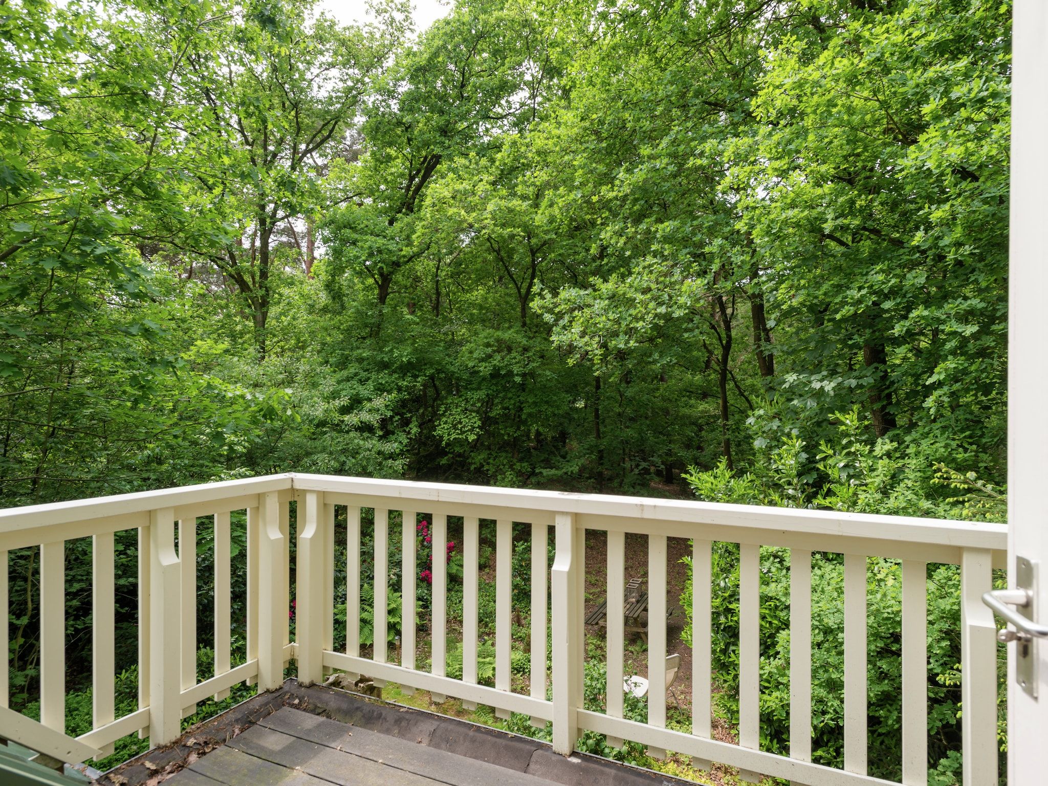 Het uitzicht vanaf Boshuis in Dalfsen