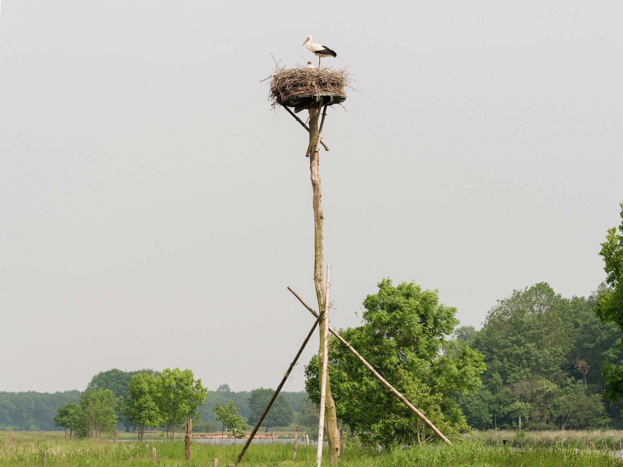 Sfeerbeeld van Boshuis in Dalfsen