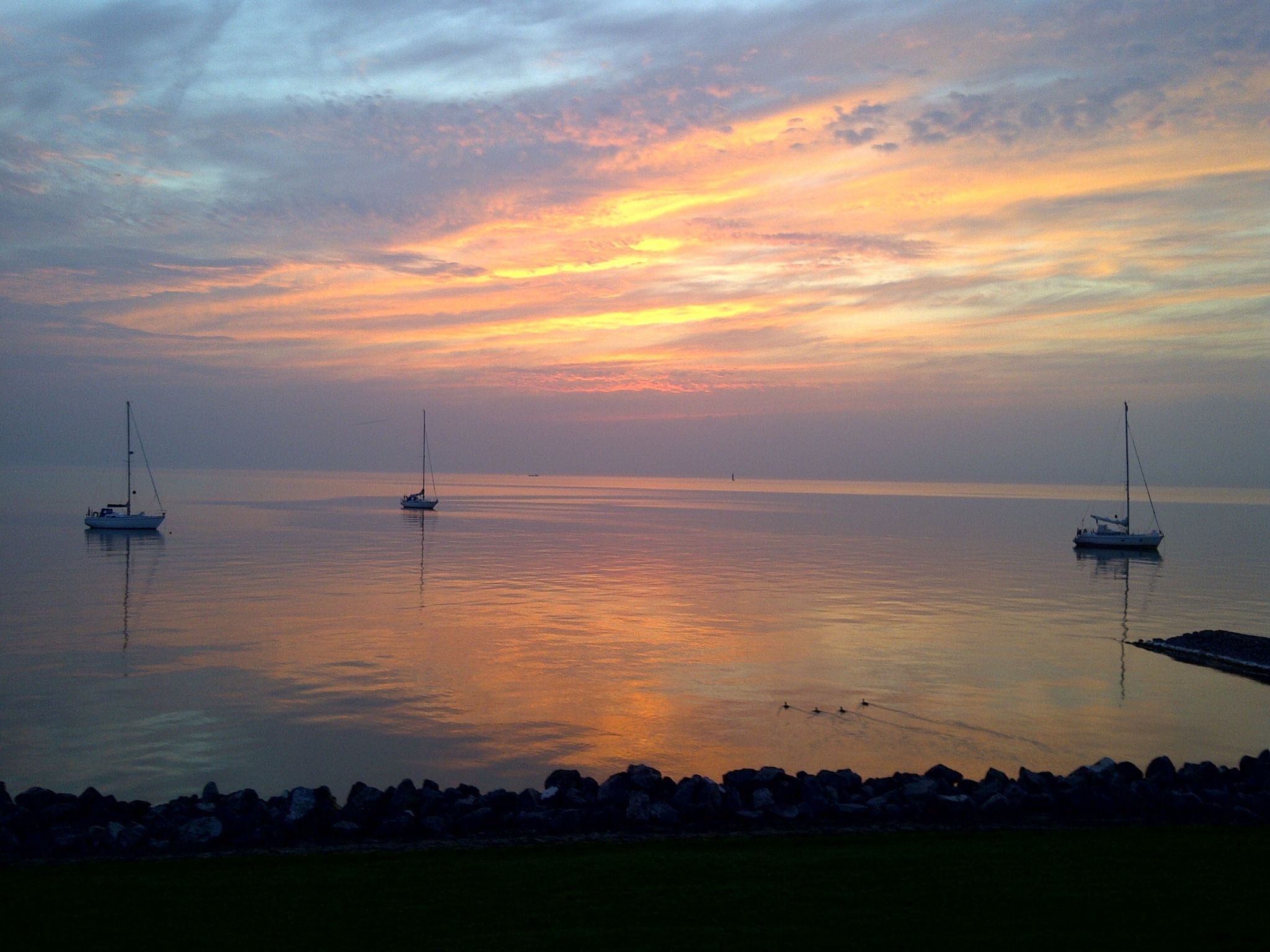 De Goudsbloem in Molkwerum - Foto 23 van 40