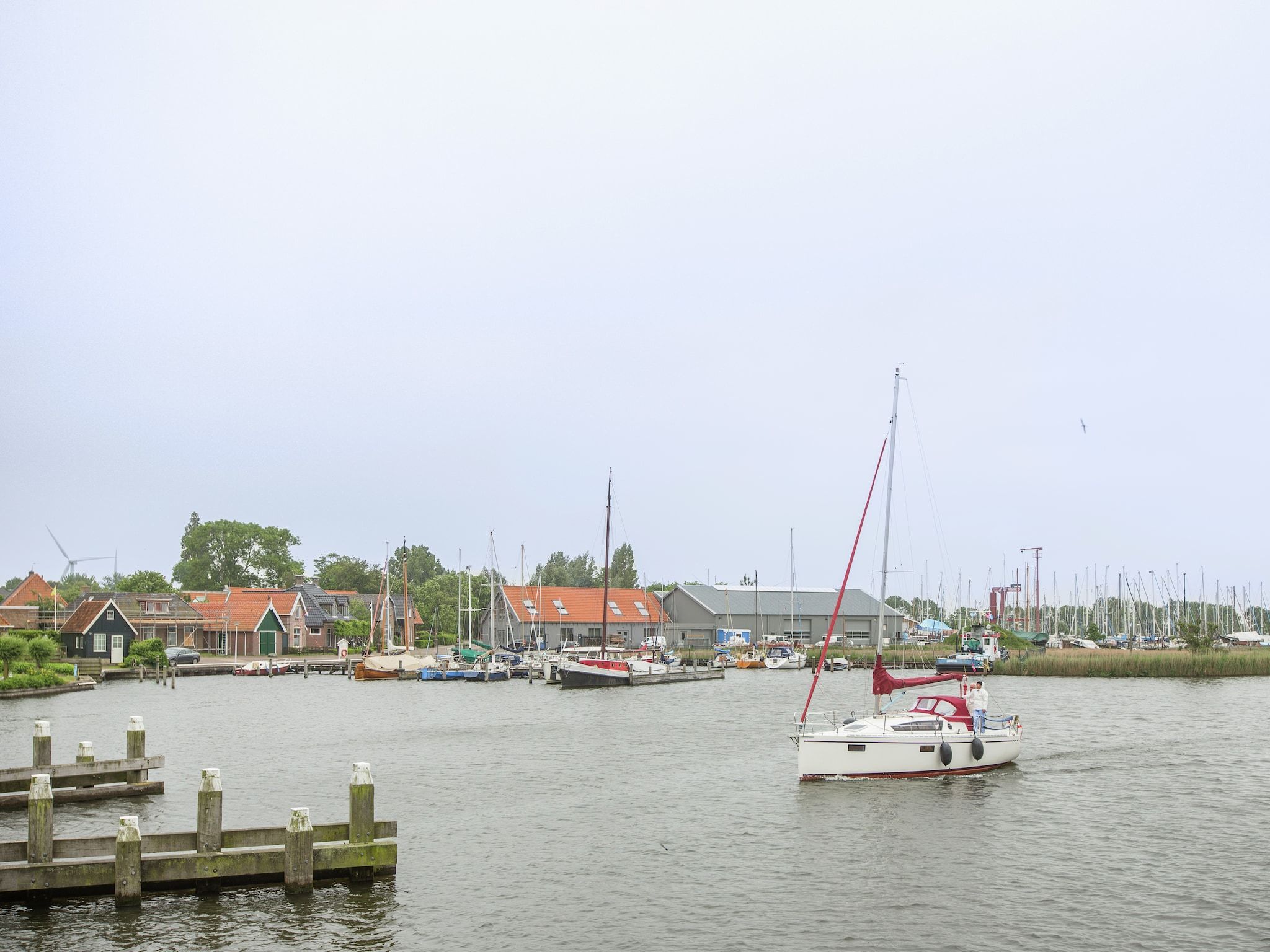 De omgeving van De Goudsbloem in Molkwerum