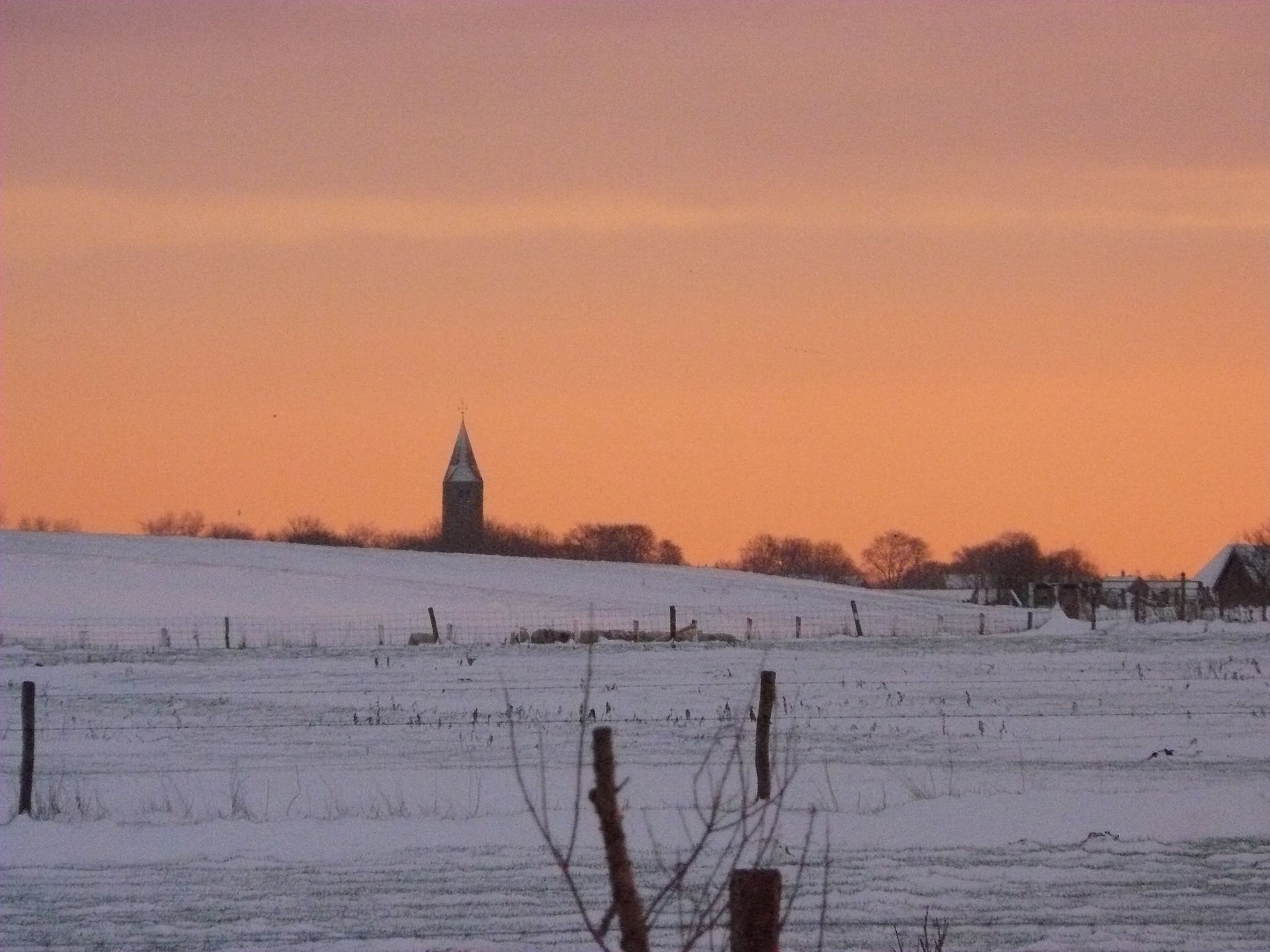 Recreatiepark Wiringherlant - Villa 14 in Hippolytushoef - Foto 39 van 40