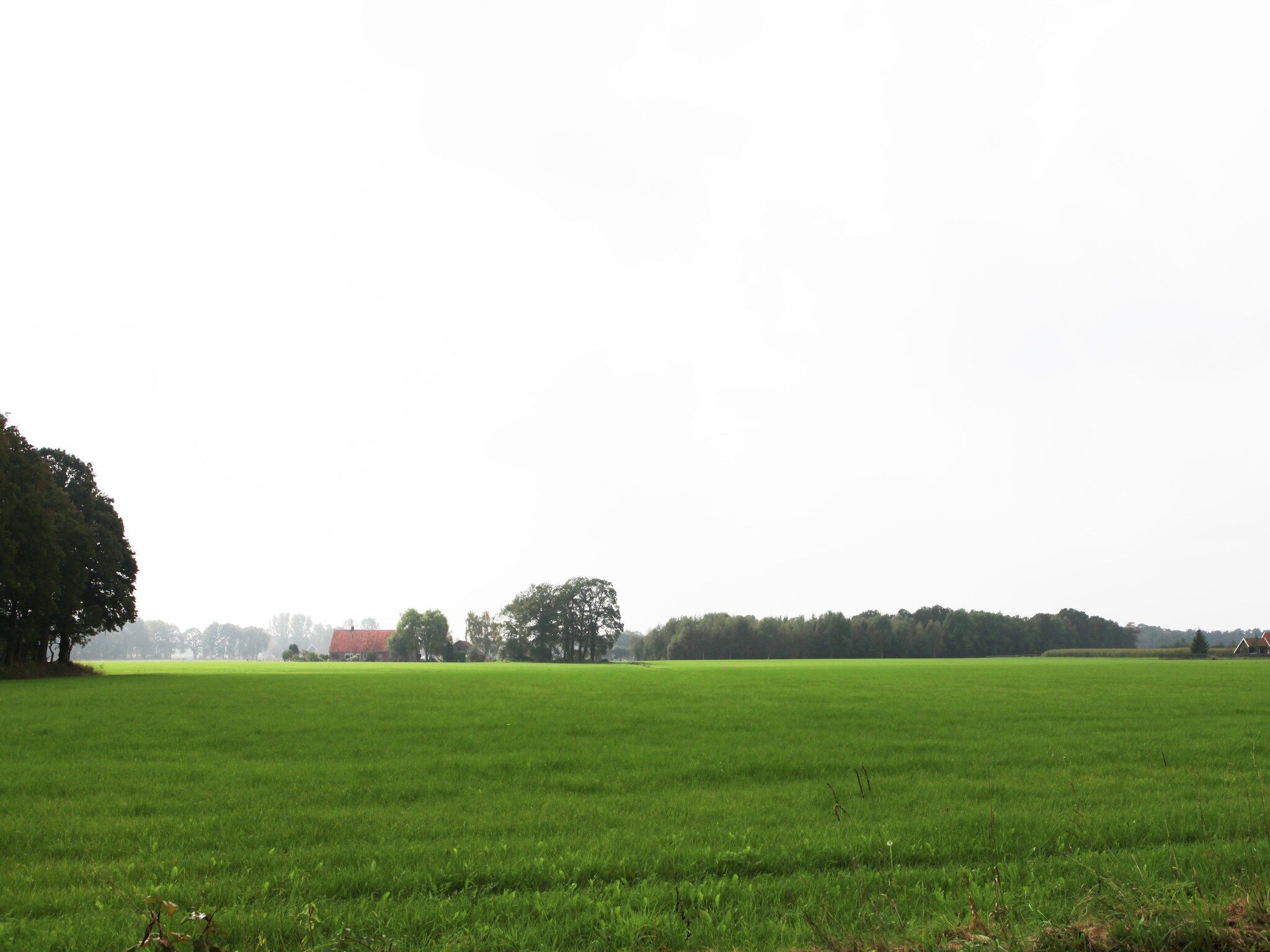 De omgeving van Kotman's spieker 6 persoons in Enschede