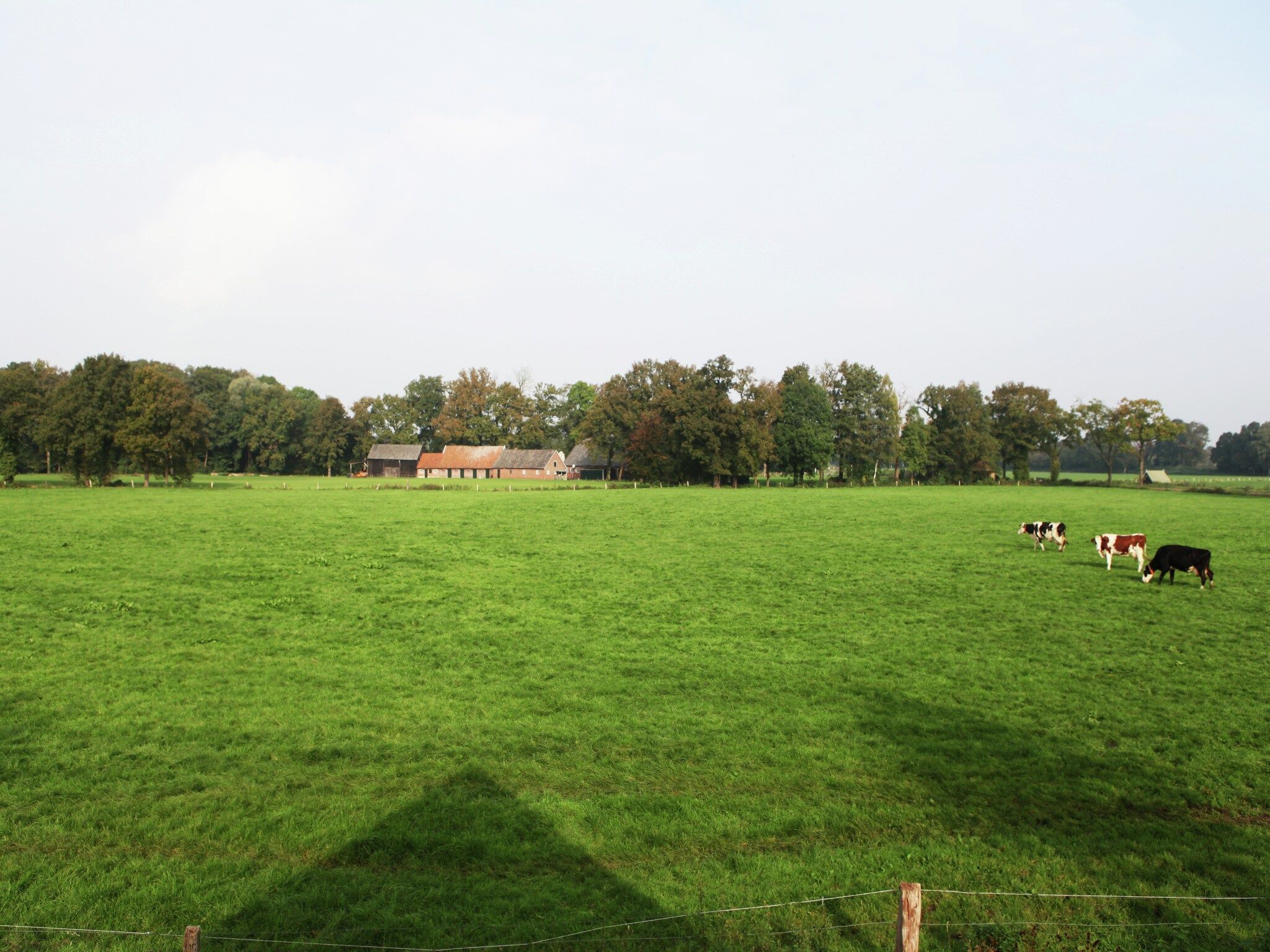 Het uitzicht vanaf Kotman's spieker 6 persoons in Enschede