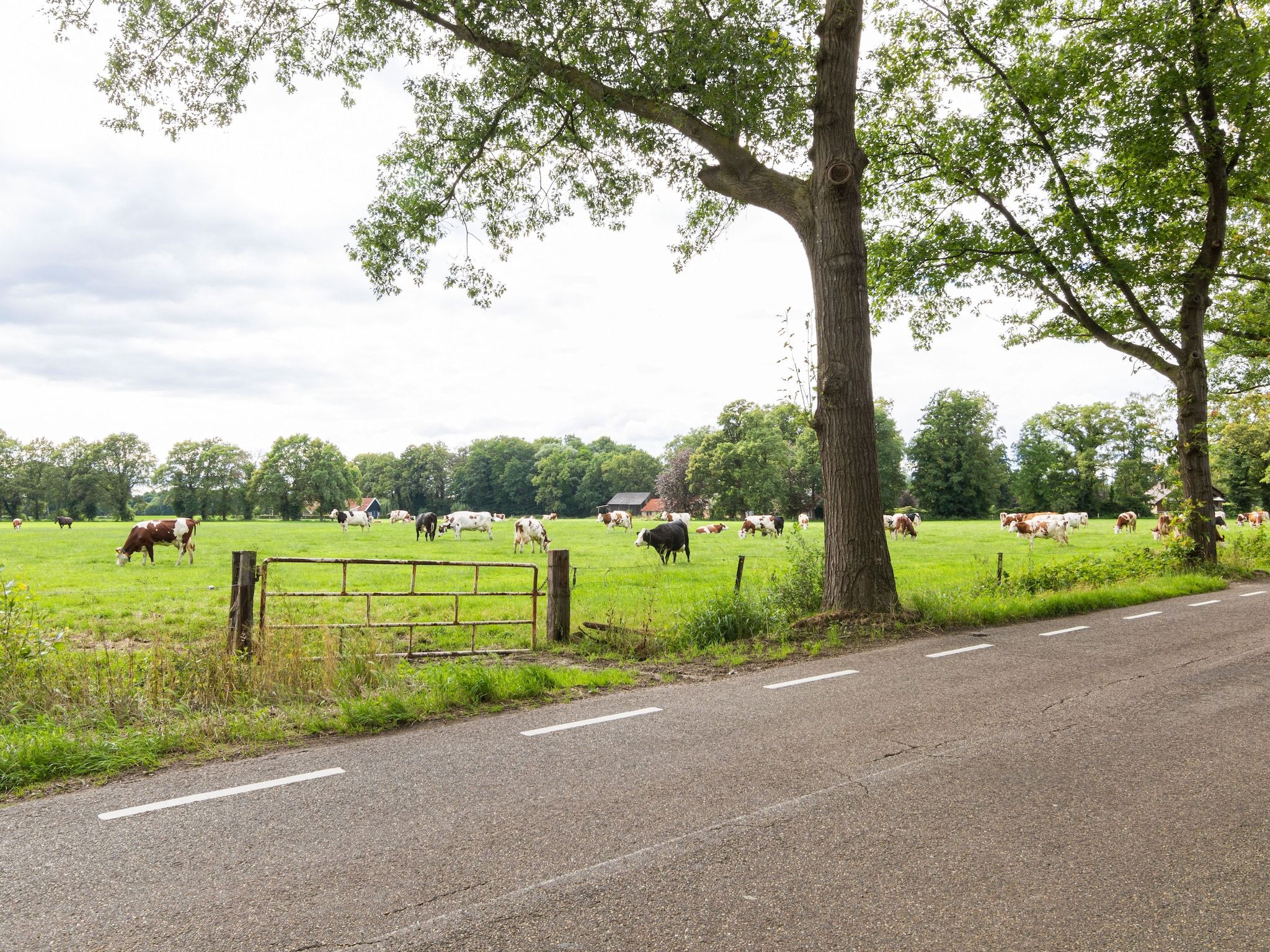 Kotman's spieker 6 persoons in Enschede - Foto 27 van 33