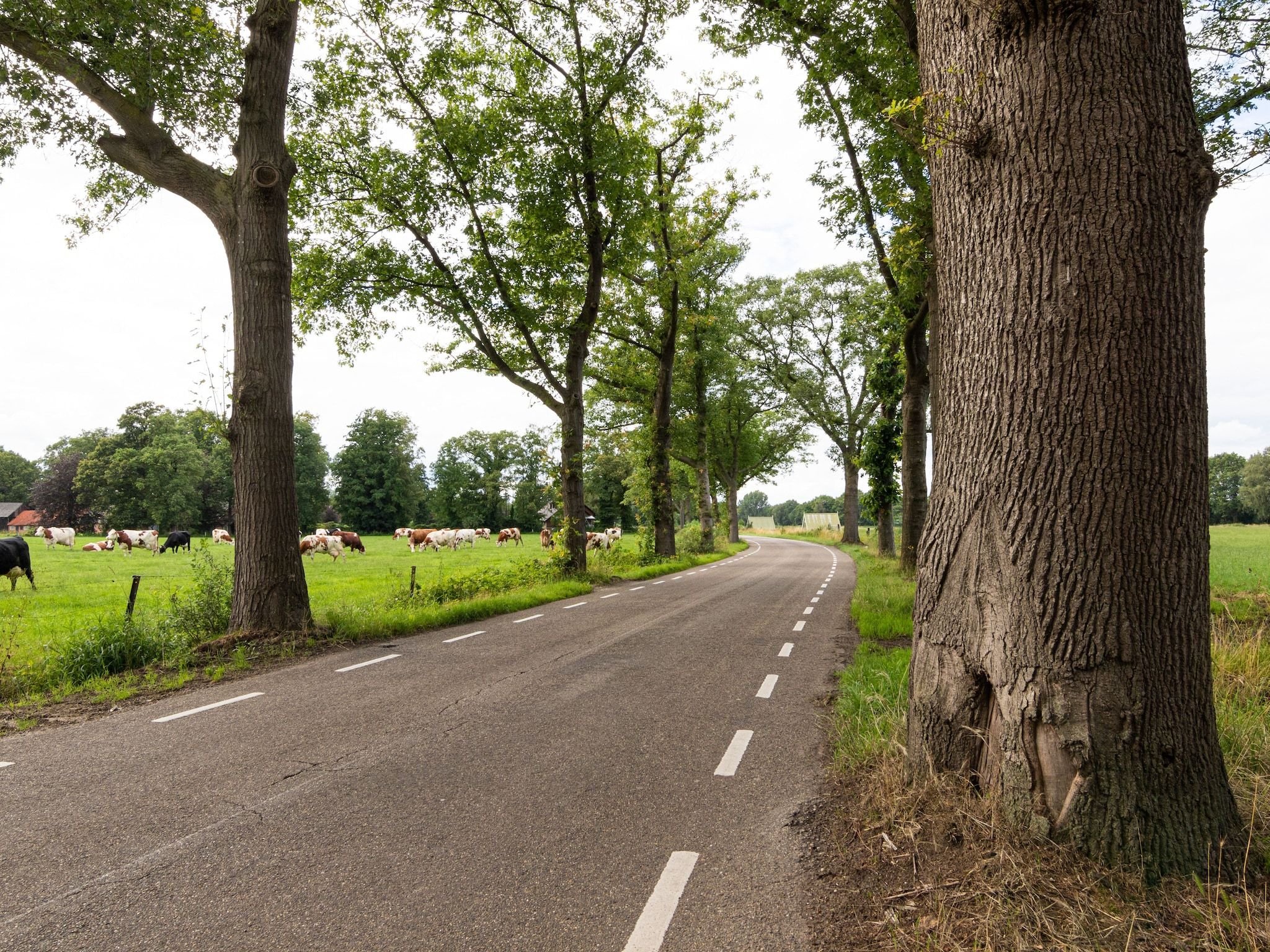 Kotman's spieker 6 persoons in Enschede - Foto 28 van 33